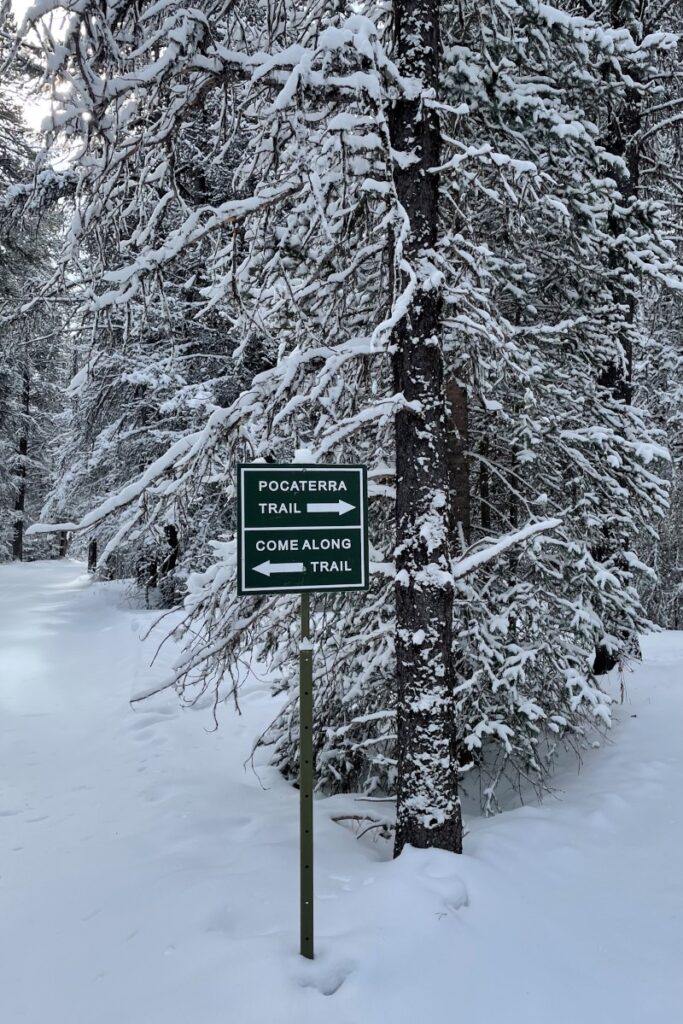 Pocaterra cross-country ski trail