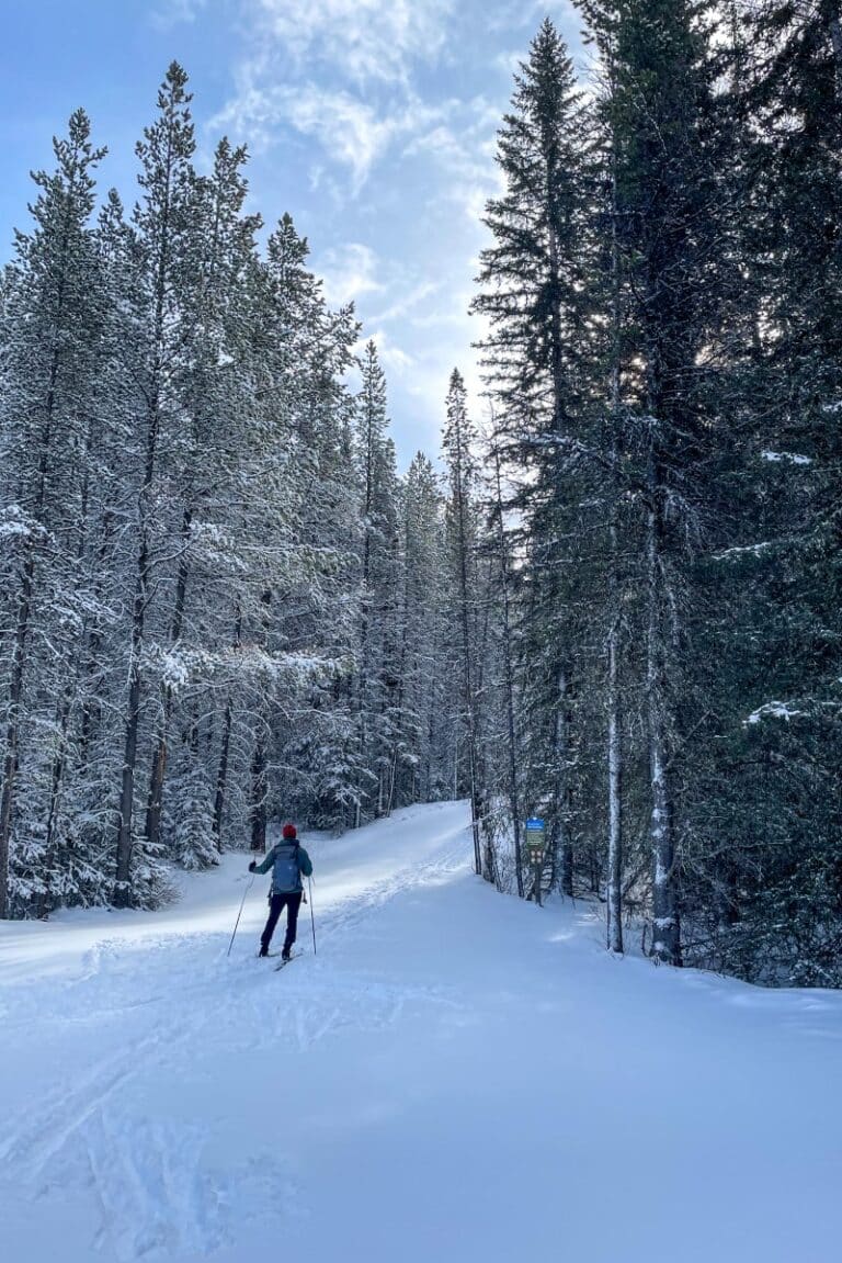 5 BEST Places to CrossCountry Ski in Kananaskis