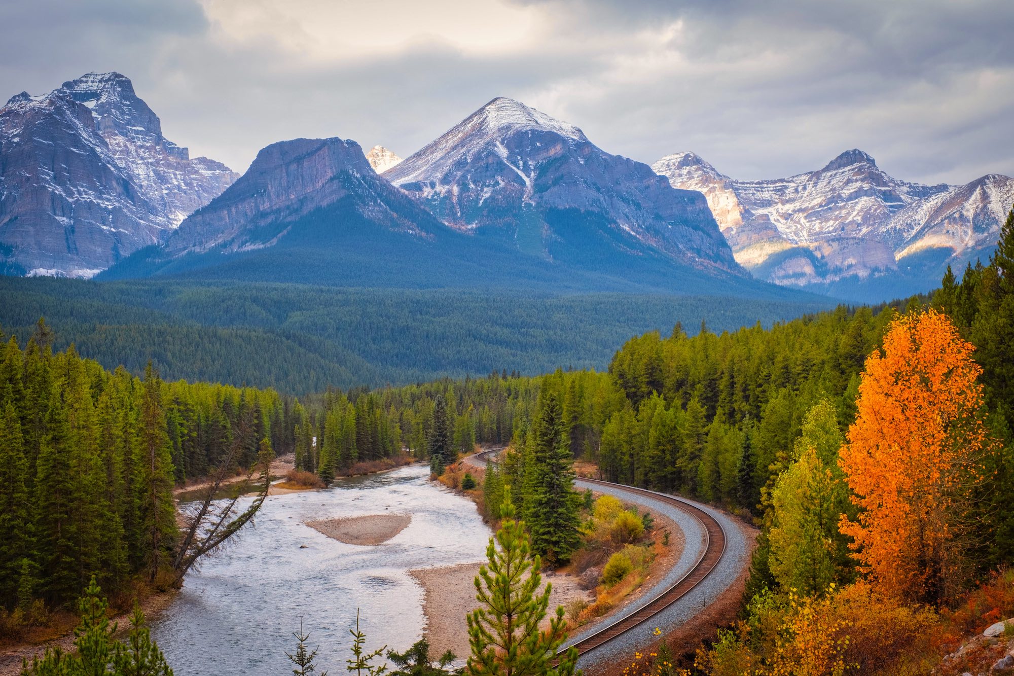 morants curve in fall