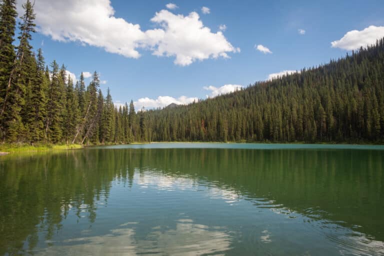lillian lake
