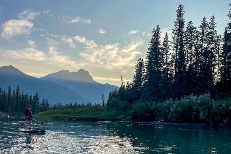 Spotting beavers while paddling the Bow River