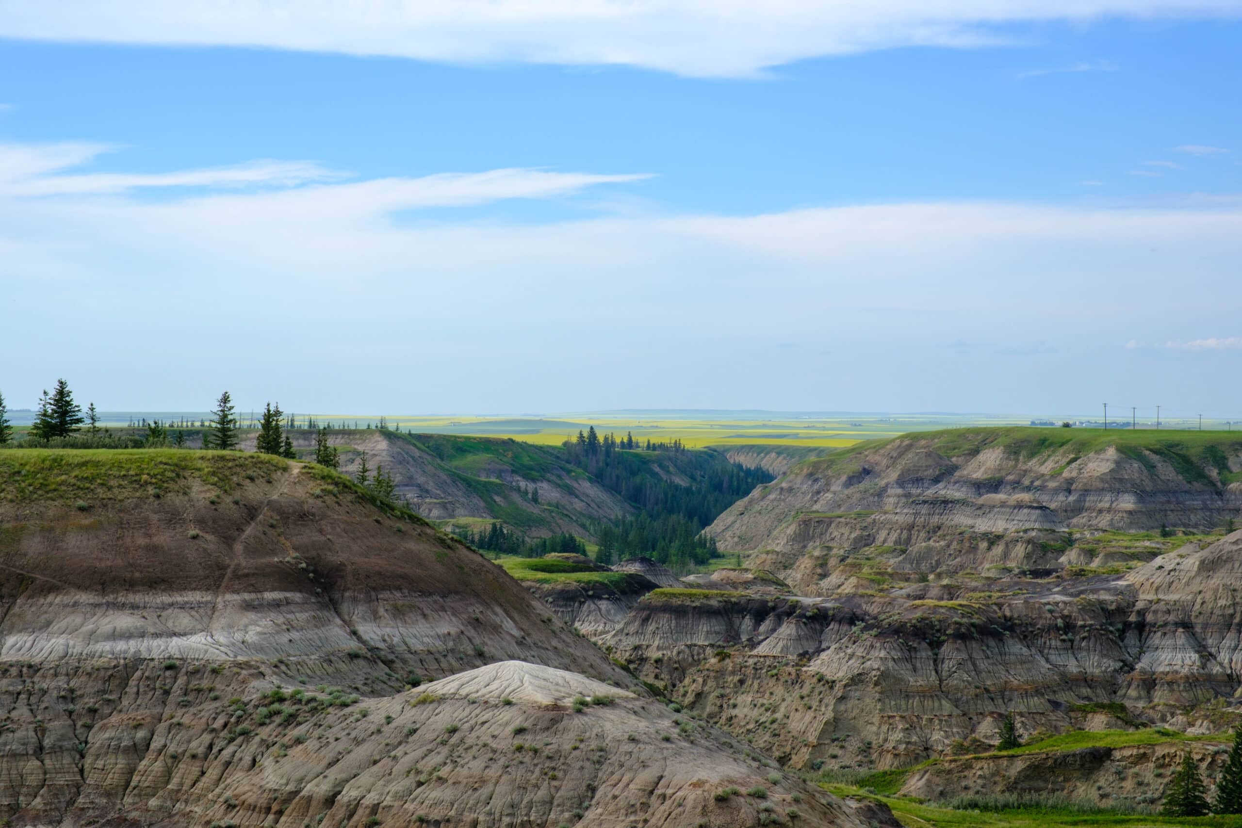 Horseshoe Canyon