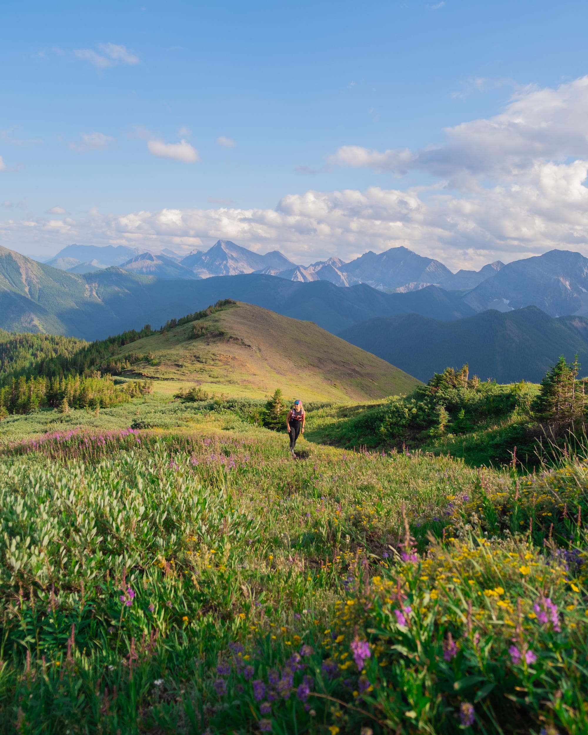 mount lipsett trail