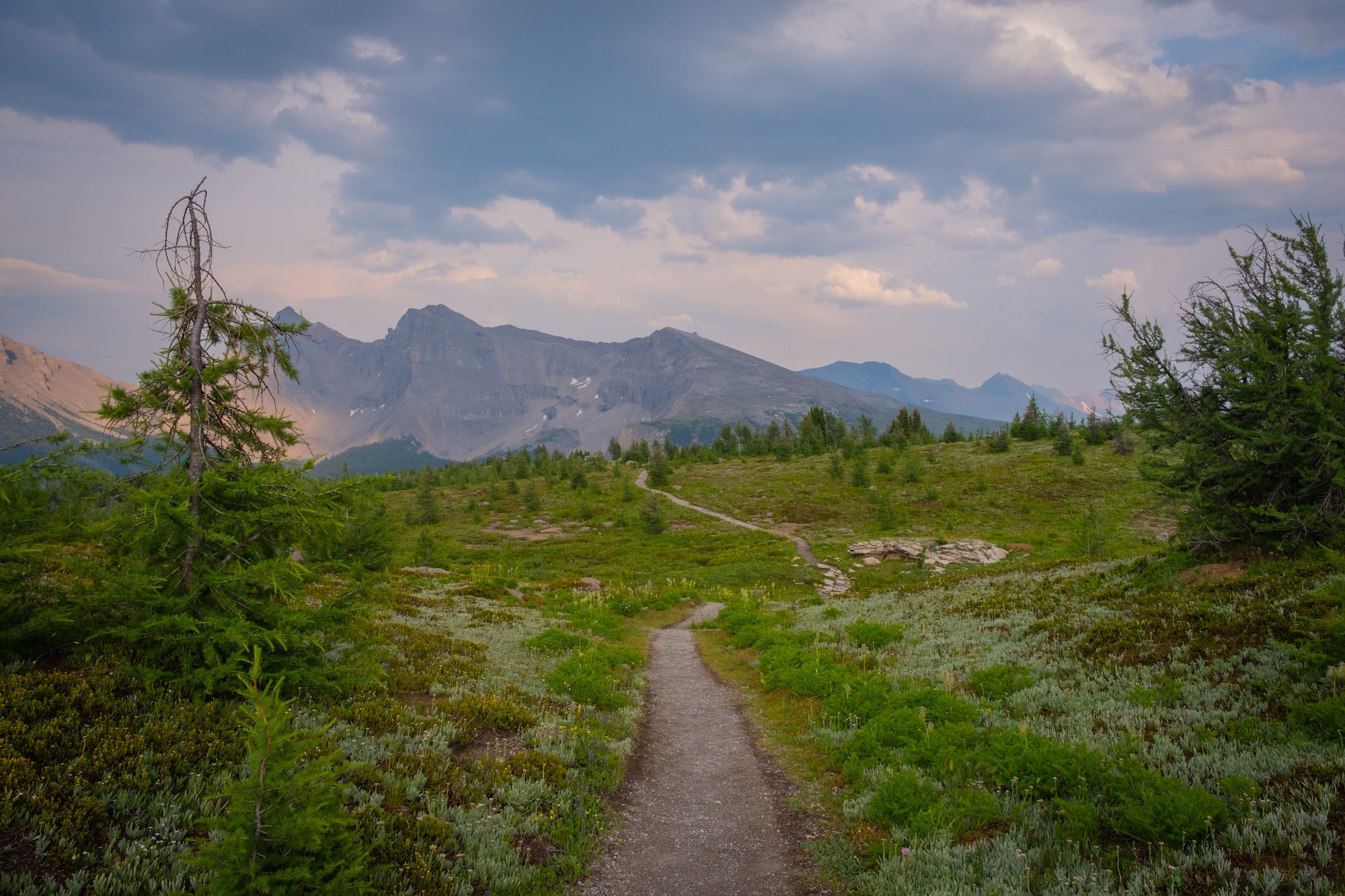 sunshine meadows hike