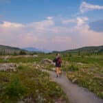 Sunshine Meadows-hike