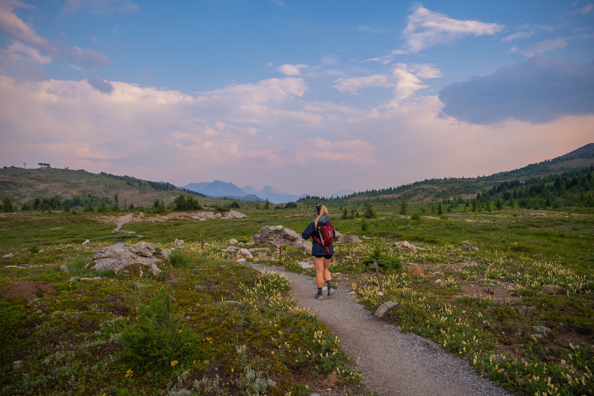 sunshine meadows hike