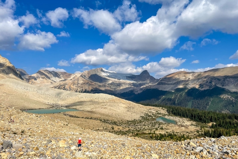 Iceline-Trail-Summit