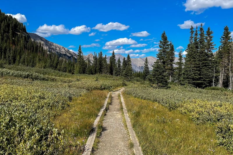 hiking trail in banff