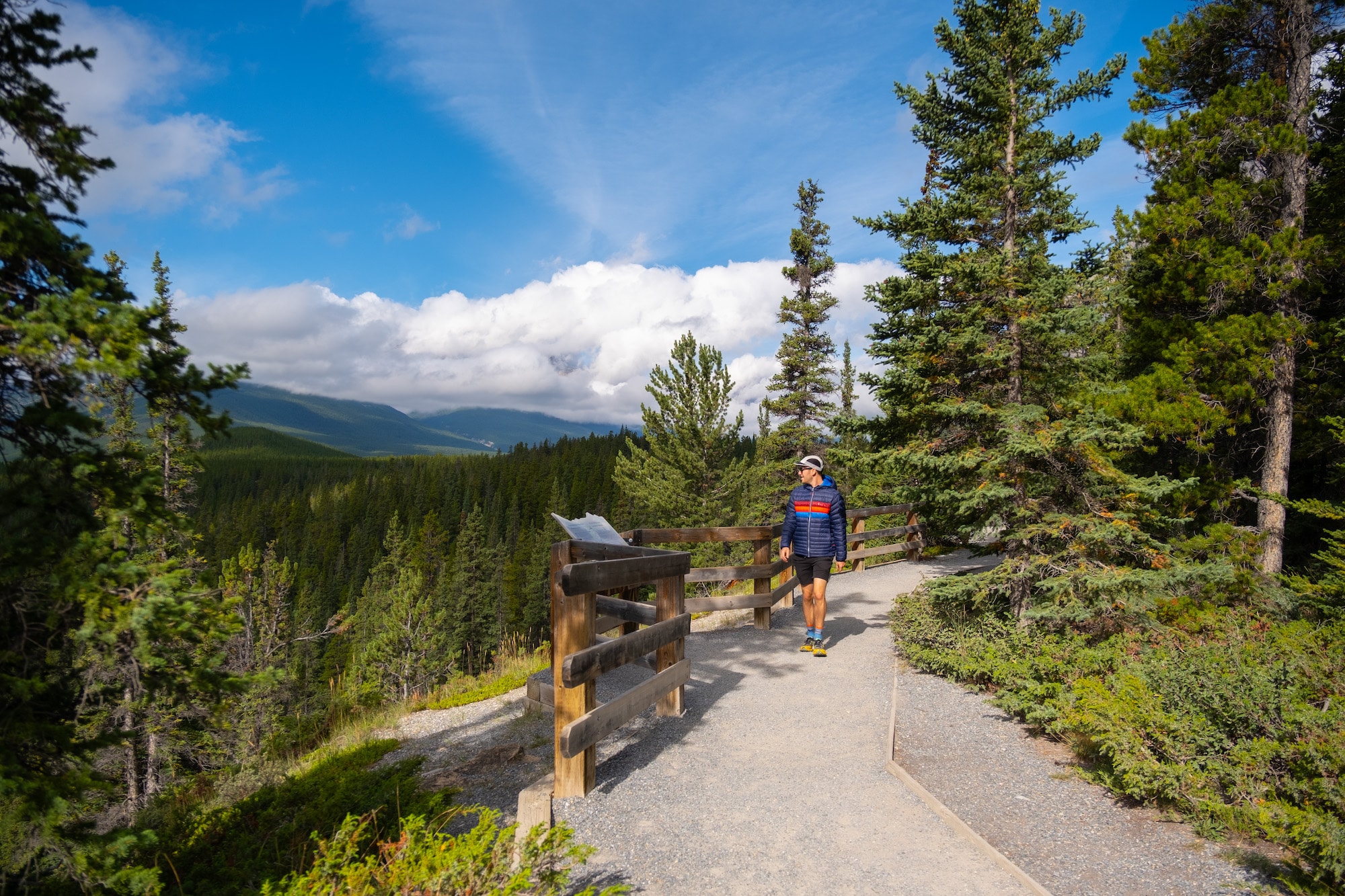 Howse Pass Viewpoint