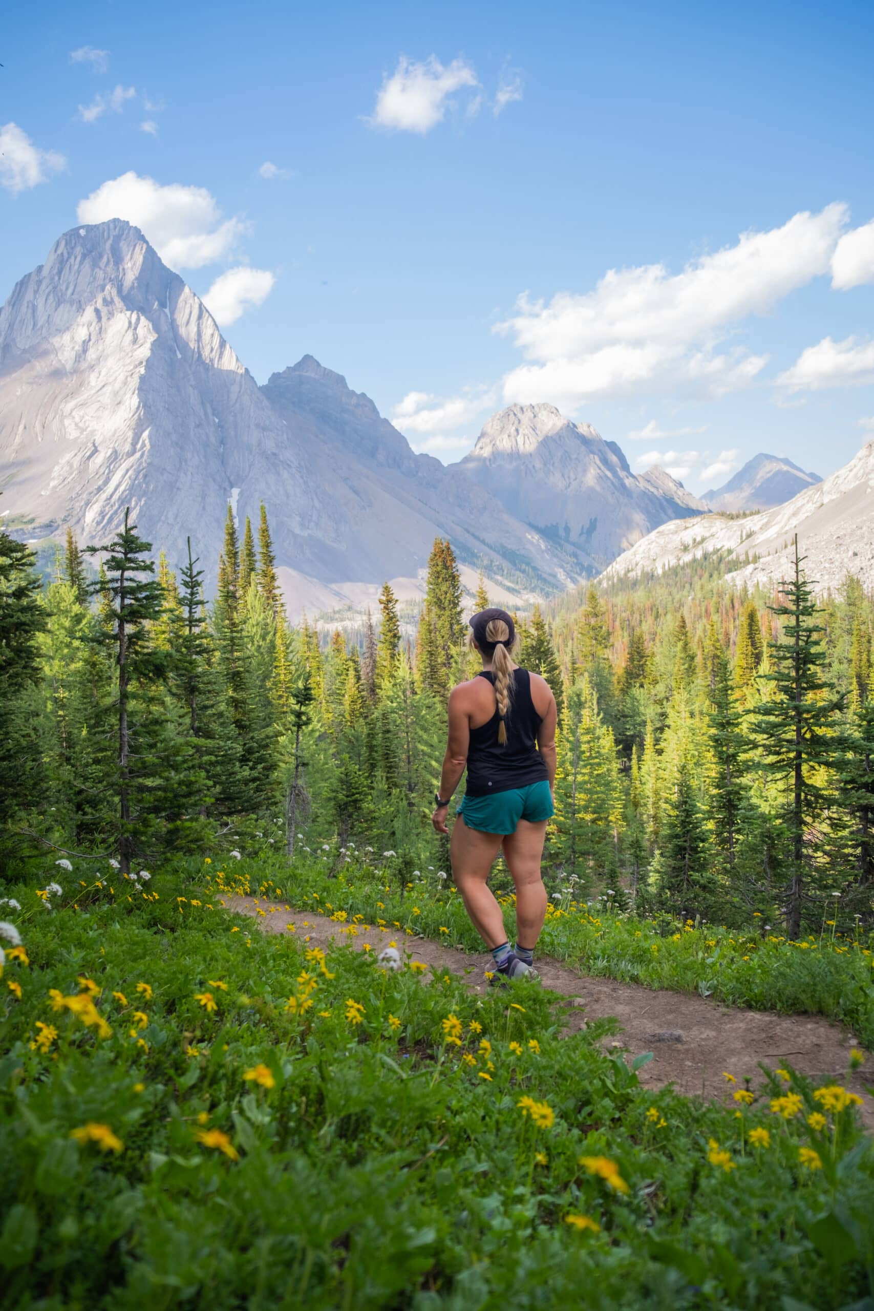 wildflower hikes in the rockies