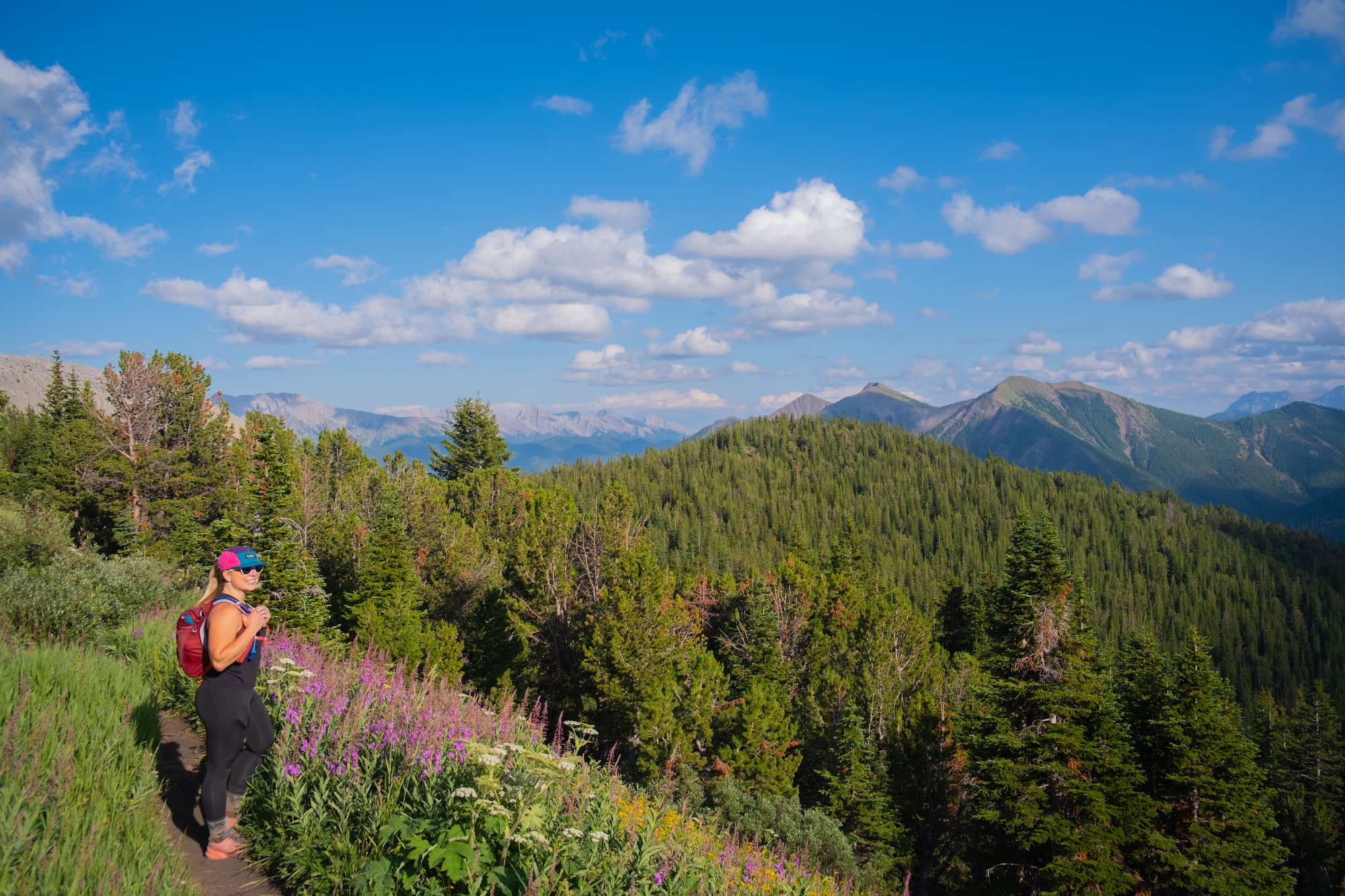 mount lipsett trail