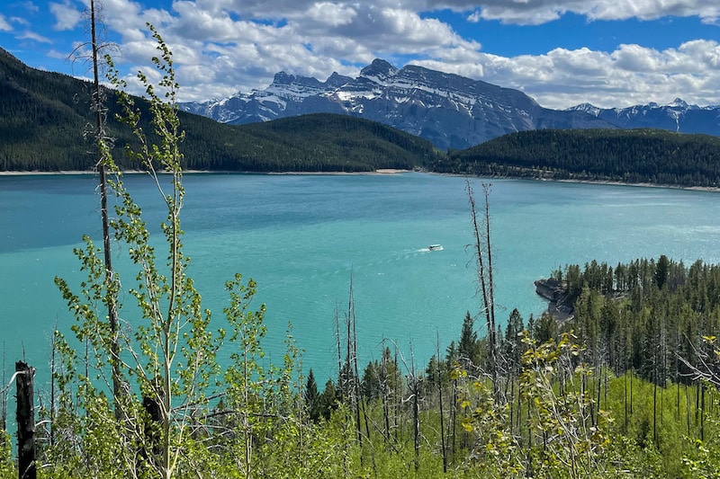 Above Aylmer Lookout