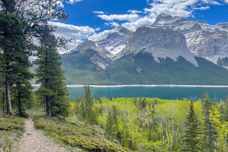 Views back to the Lake on the ascent to Aylmer Lookout