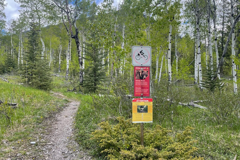 Aylmer Junction and the trail up to the Lookout