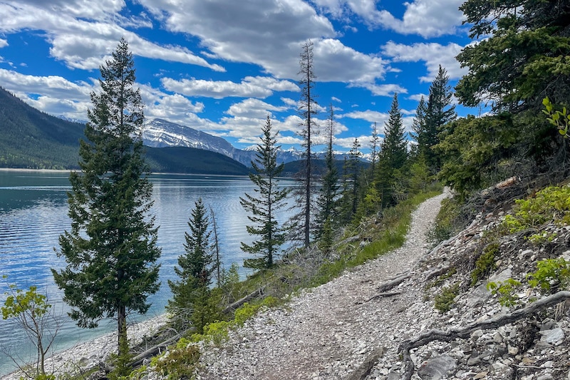 Trail to Aylmer Lookout