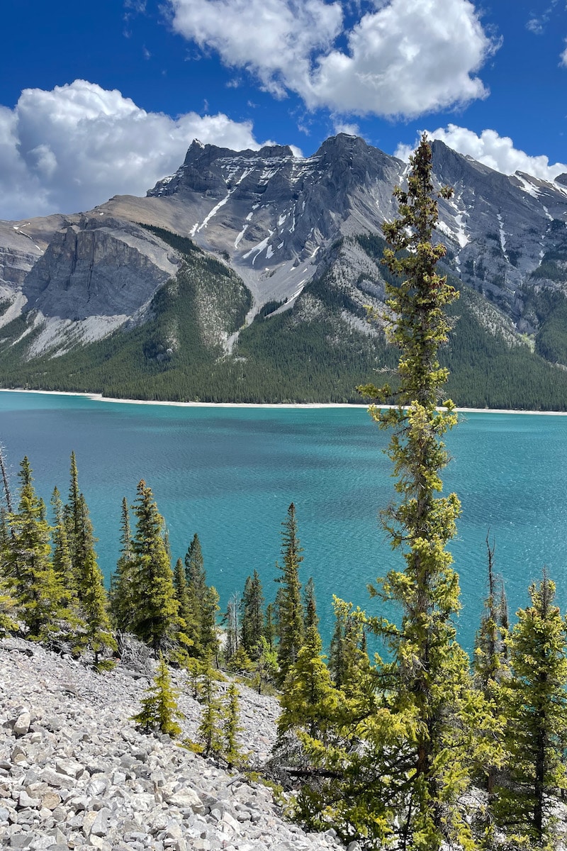 Mount Inglismaldie towers over Lake Minnewanka. Don't get too distracted by the views and watch for steep drops beside the trail!