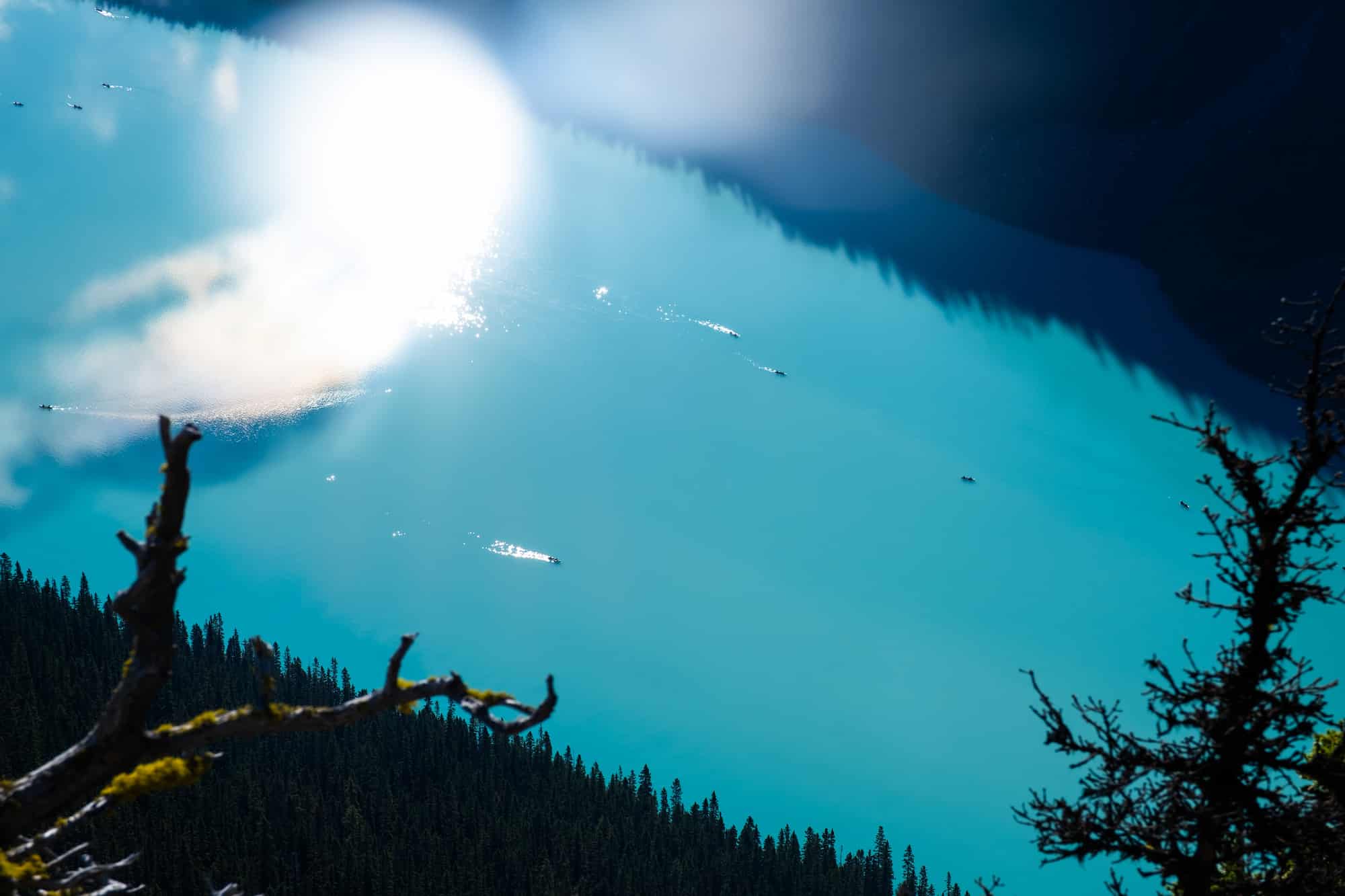 canoes on lake louise