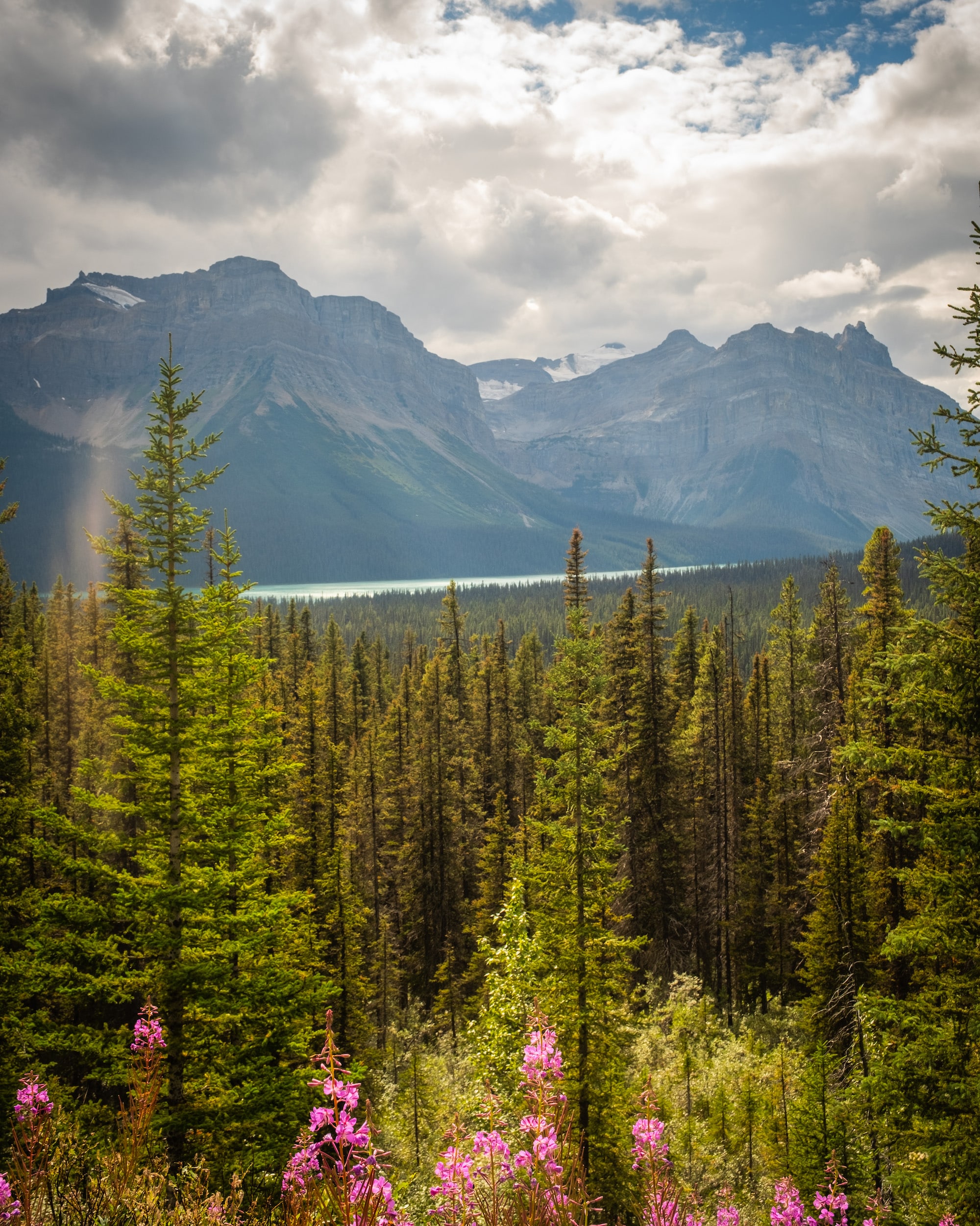 Hector Lake in banff