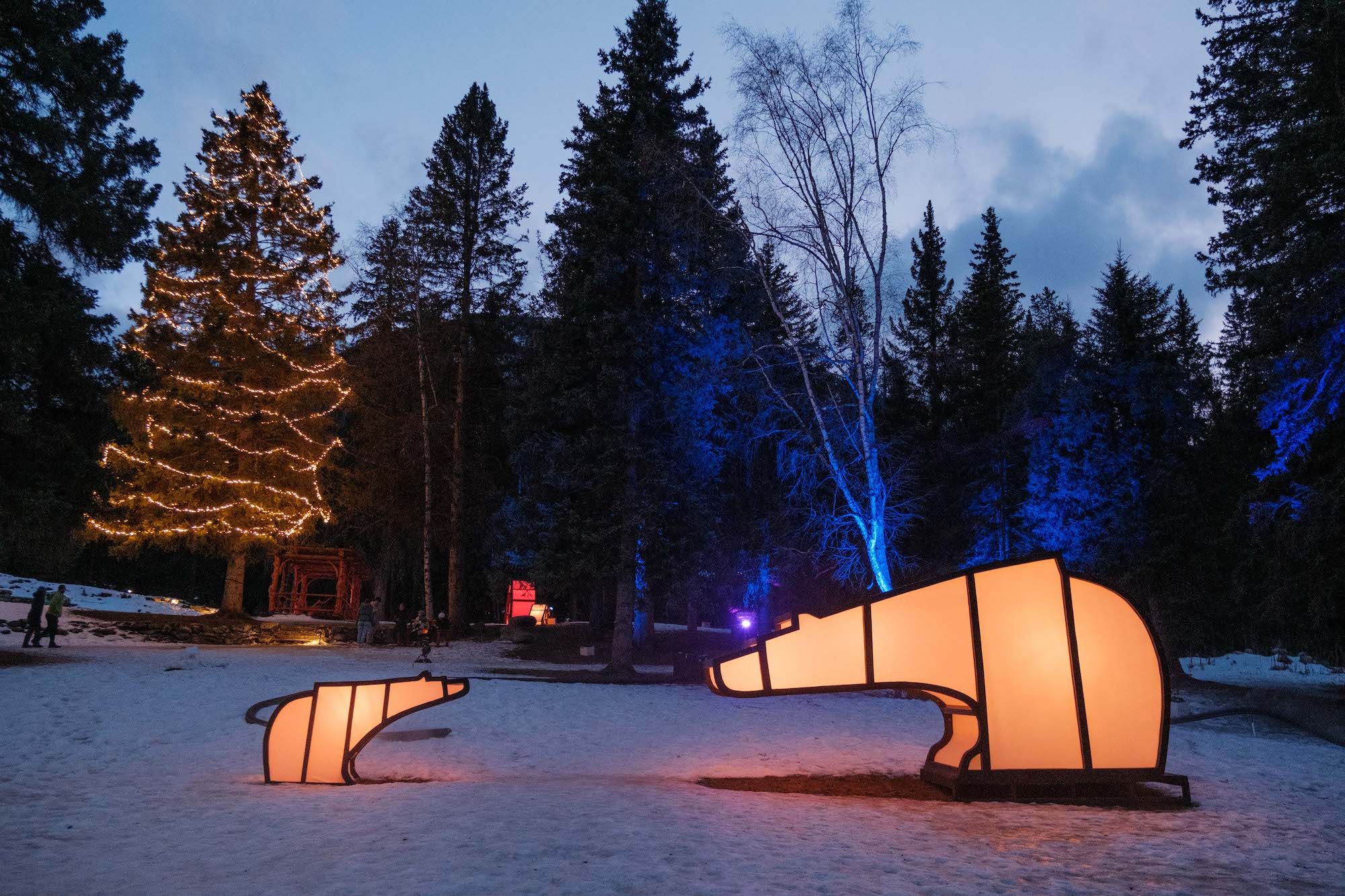 in search of christmas spirit in banff