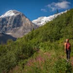 plain of six glaciers trail