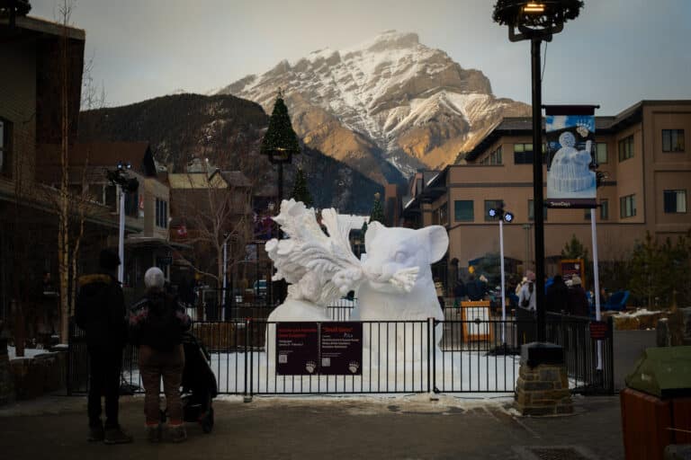 snow sculptures on bear street for snowdays