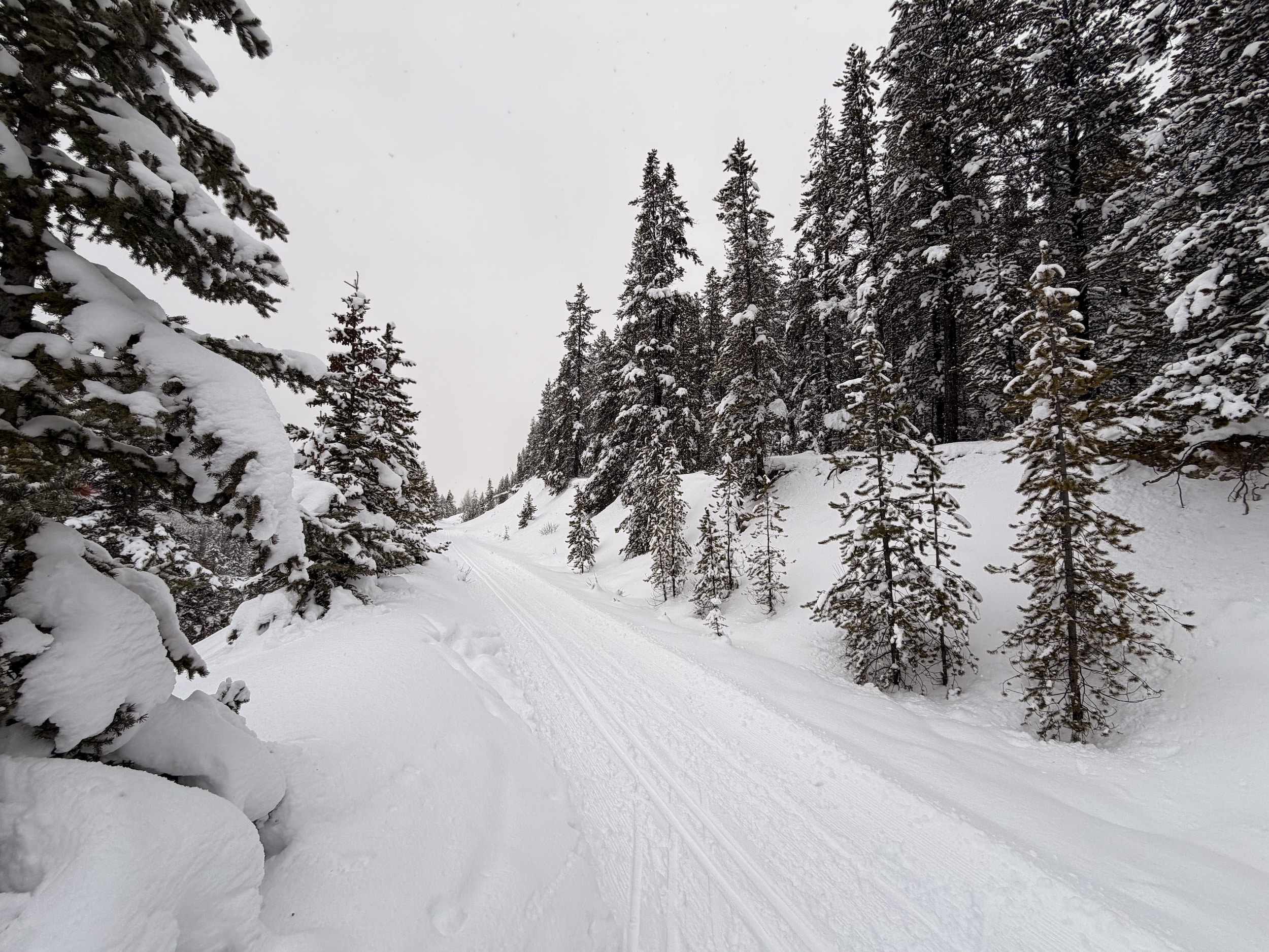 Cross Country Ski Castle Mountain Lookout