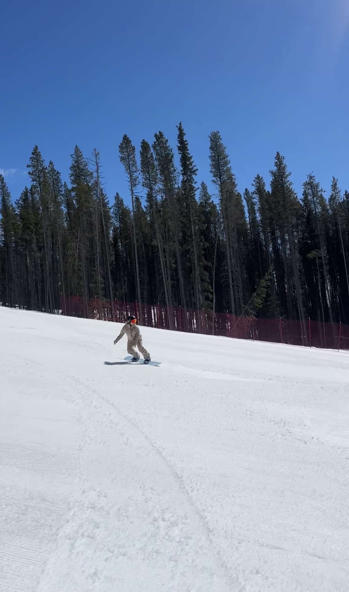 Buffaloberry and blueberry at lake louise ski resort