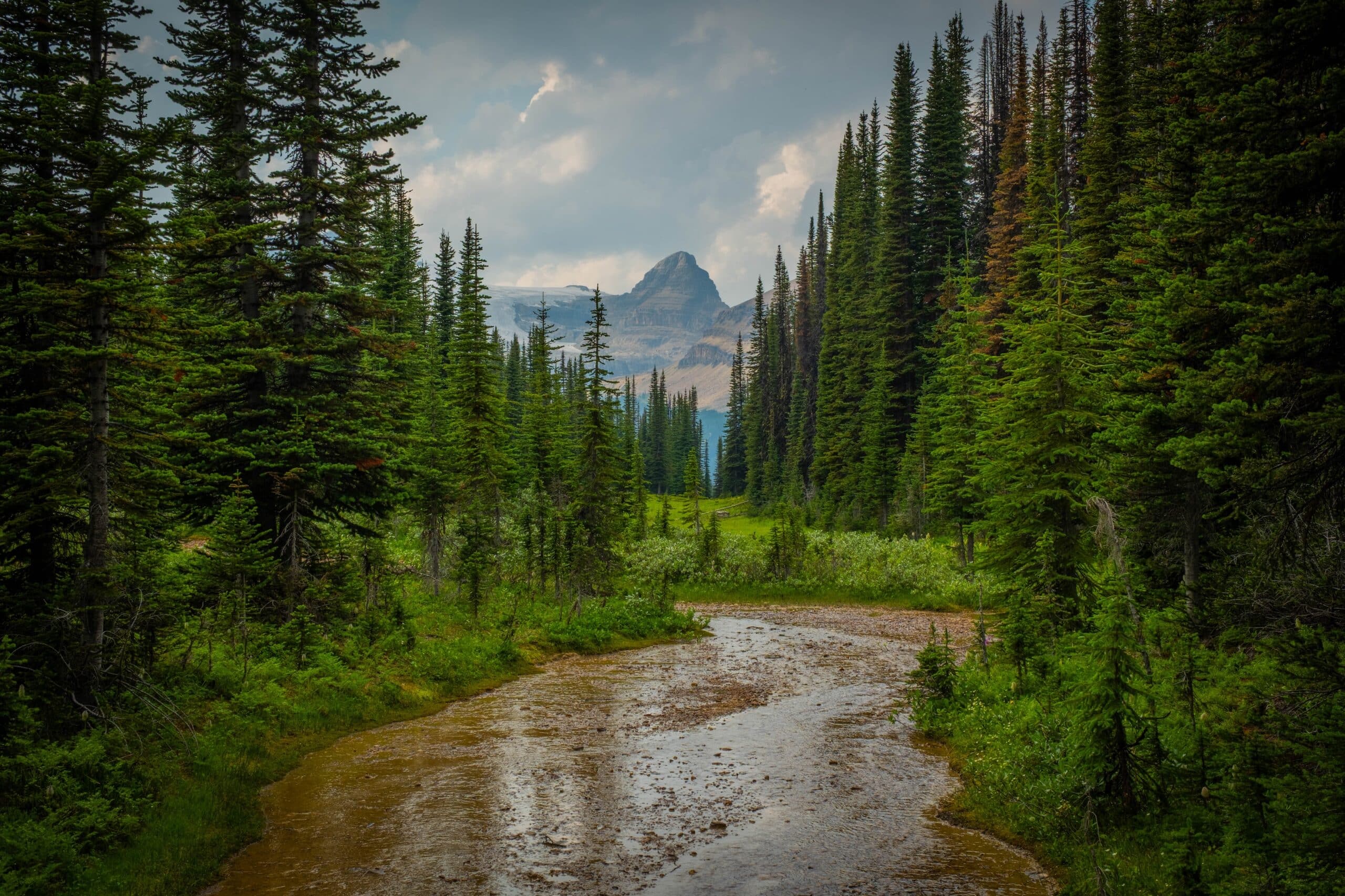 On the Celeste Lake Trail