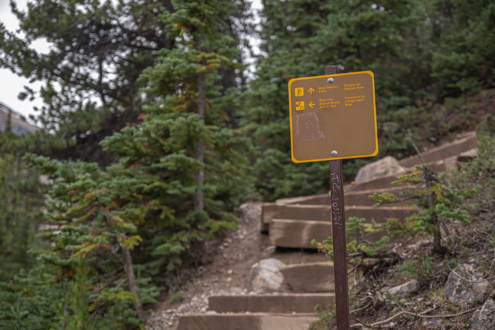 Bow Glacier Falls Steps