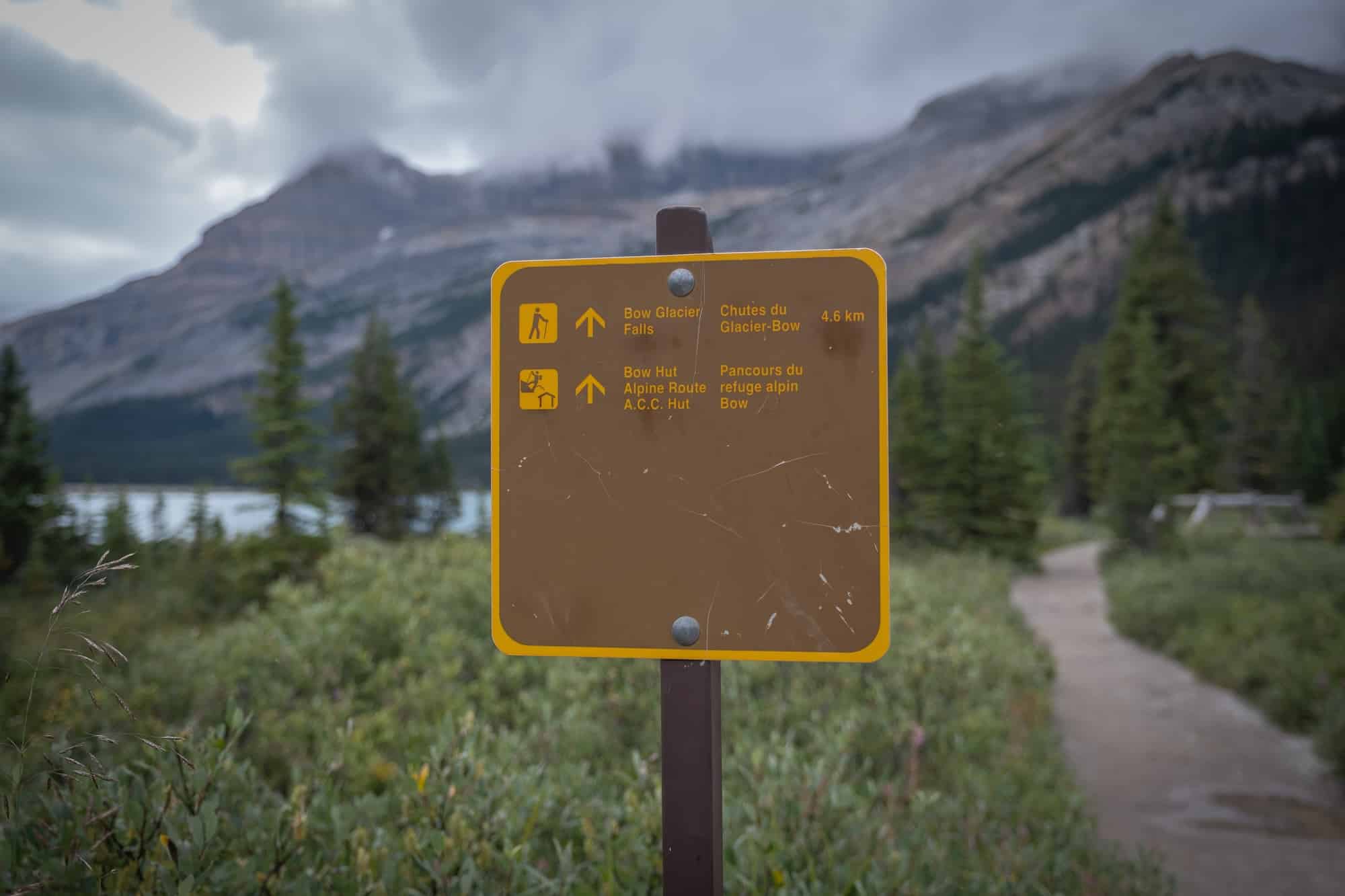 Bow Glacier Falls-trailhead