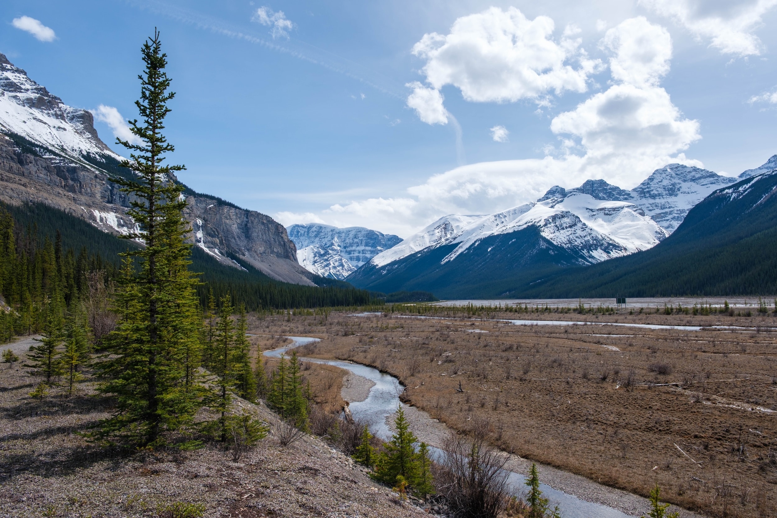 Beauty Creek