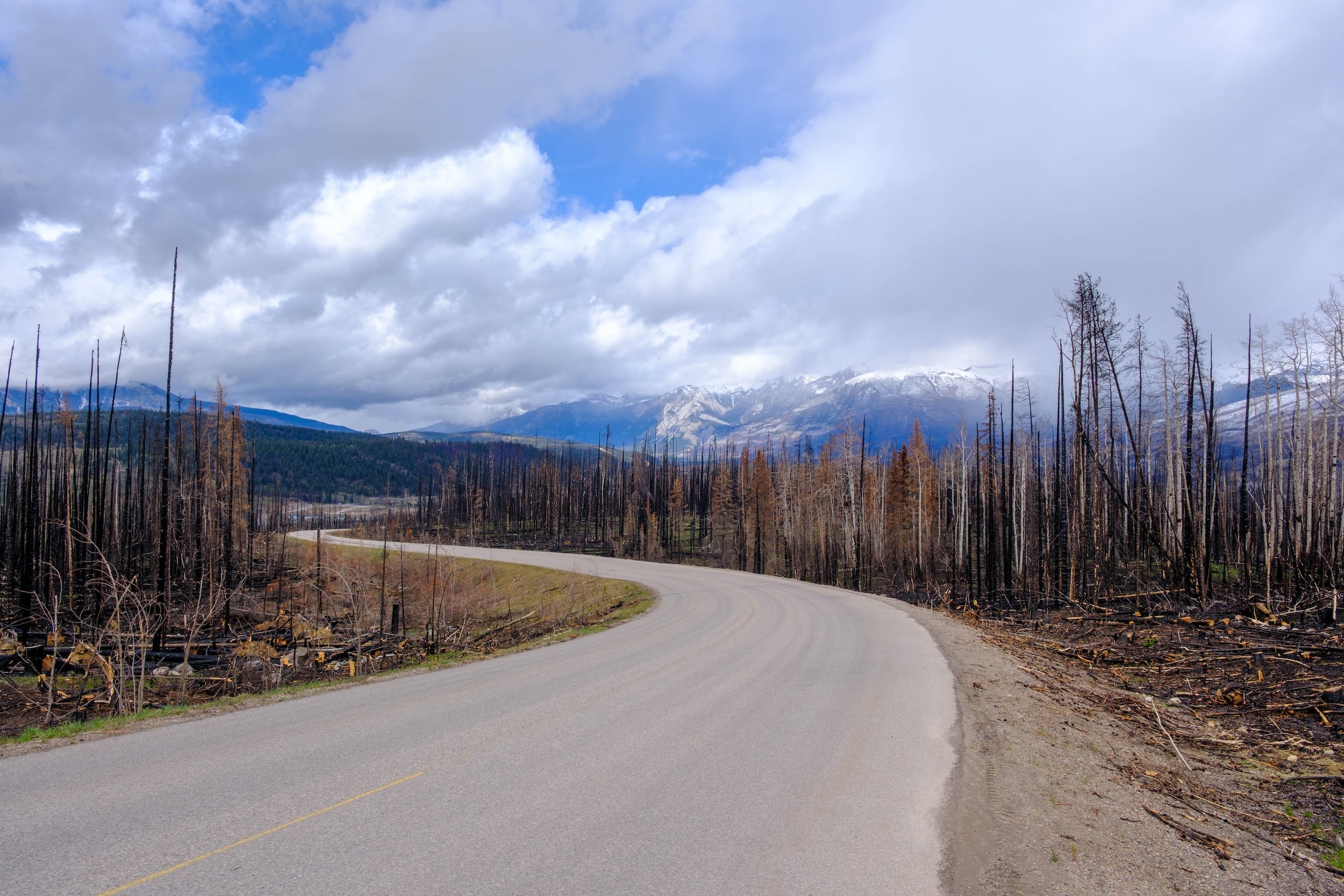 Jasper Fire Damage Whistlers Rd