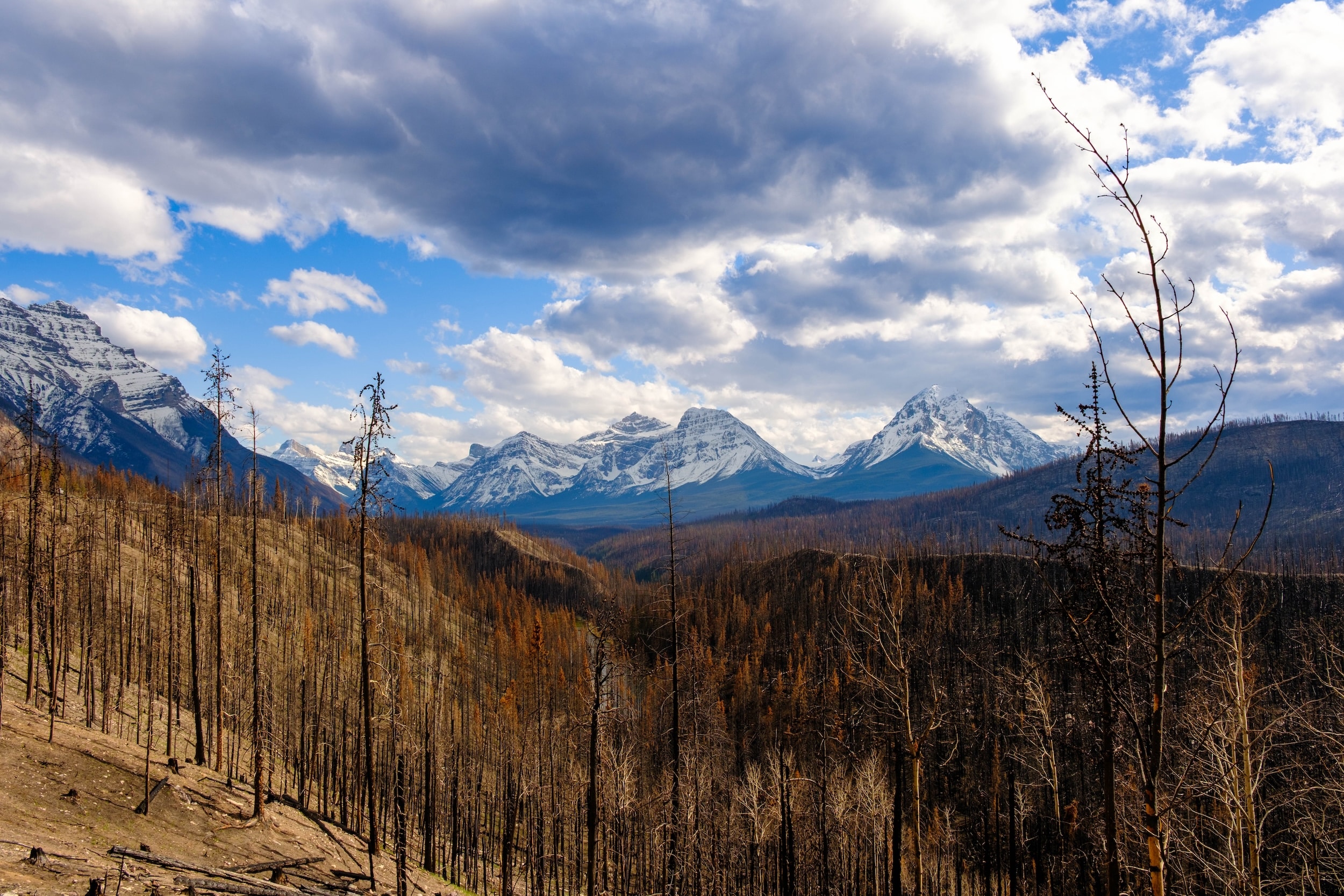 Jasper Wildfire Damage
