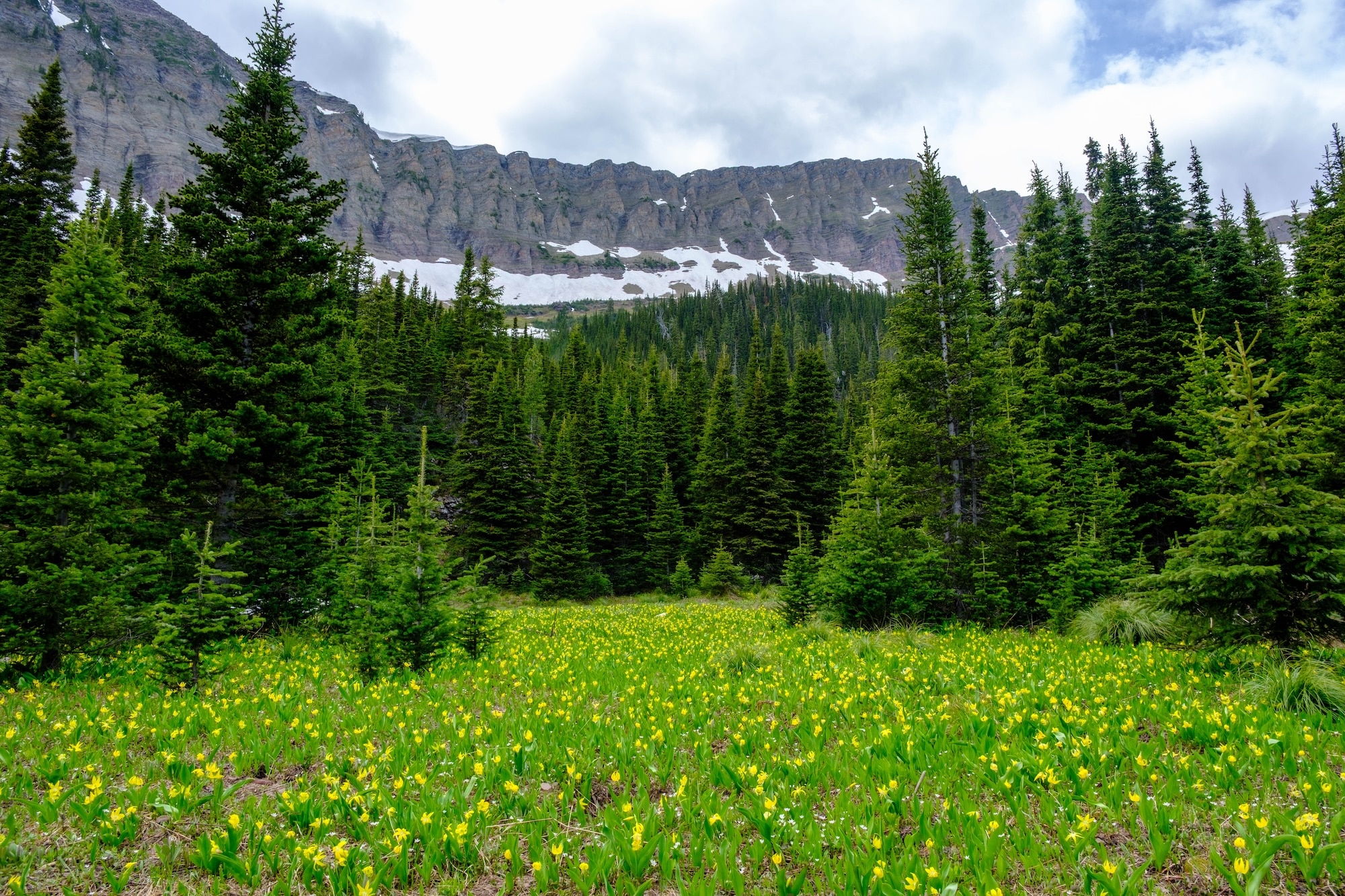 Rowe Meadow