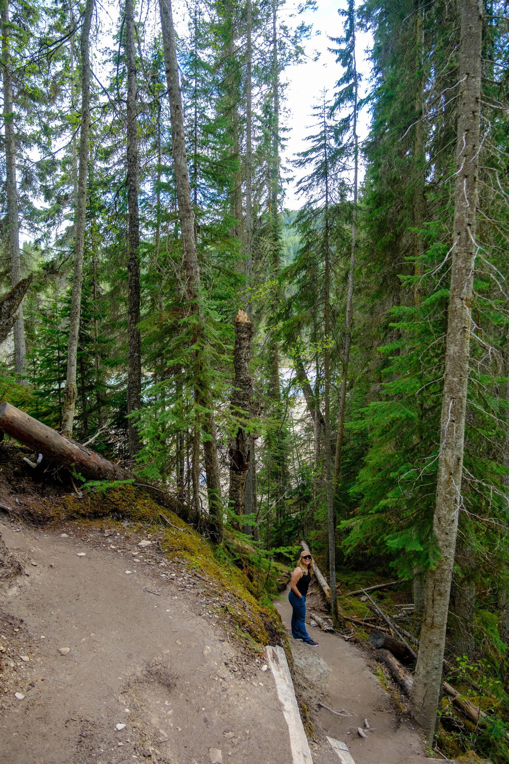 trail down to Wapta Falls