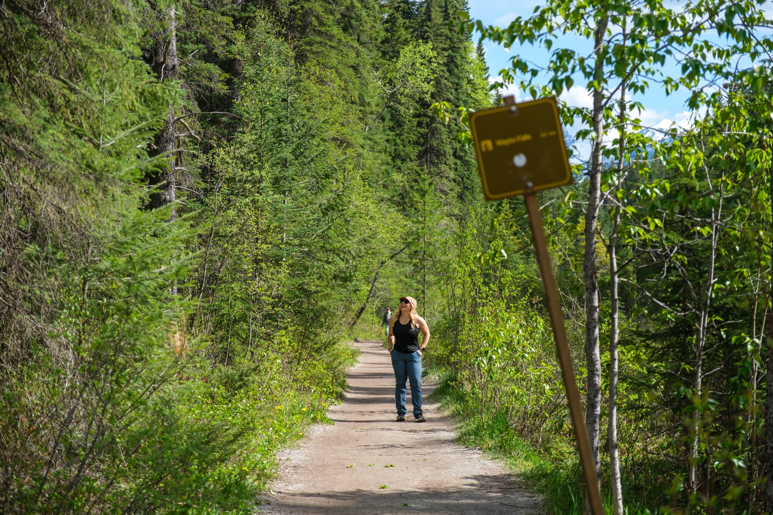 Trail to Wapta Falls