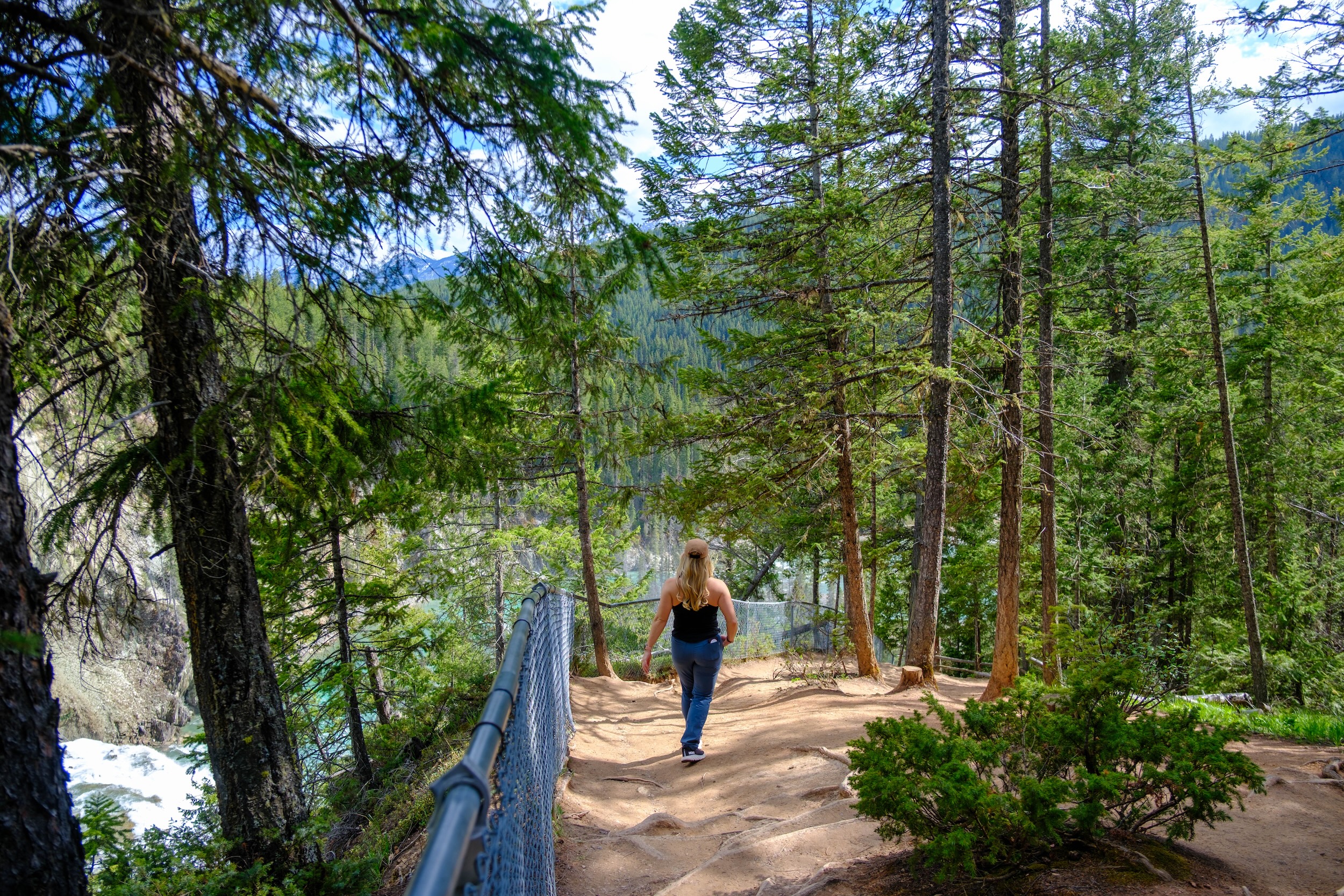 Trail Down to Wapta Falls