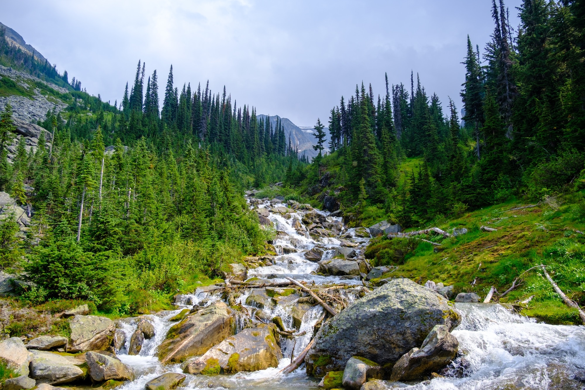 Asulkan Valley Hike