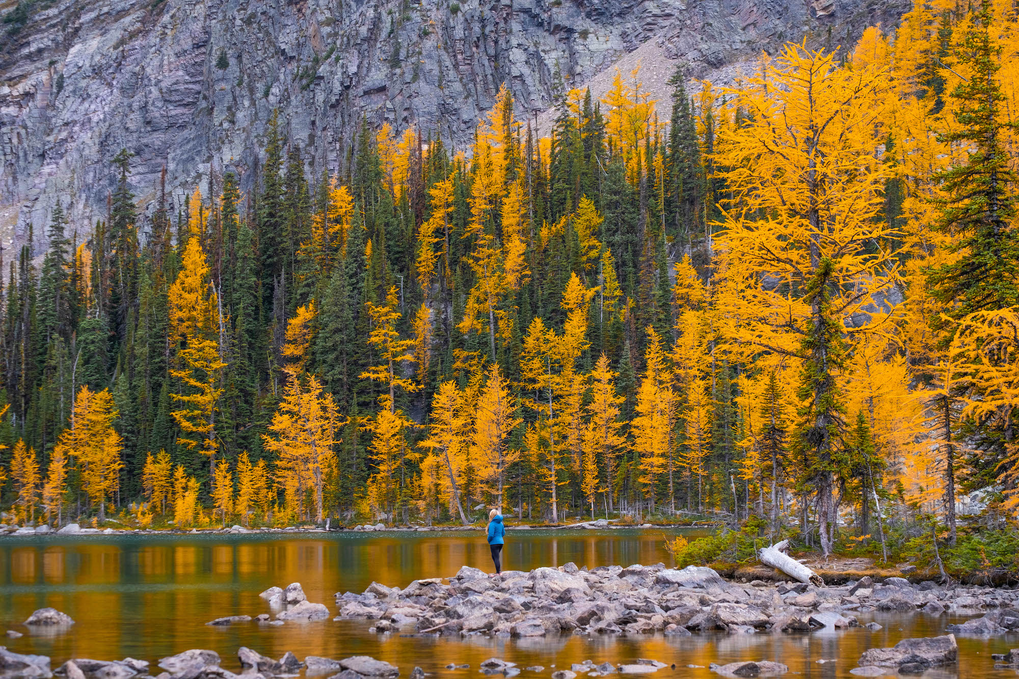 arnica lake during the larch season