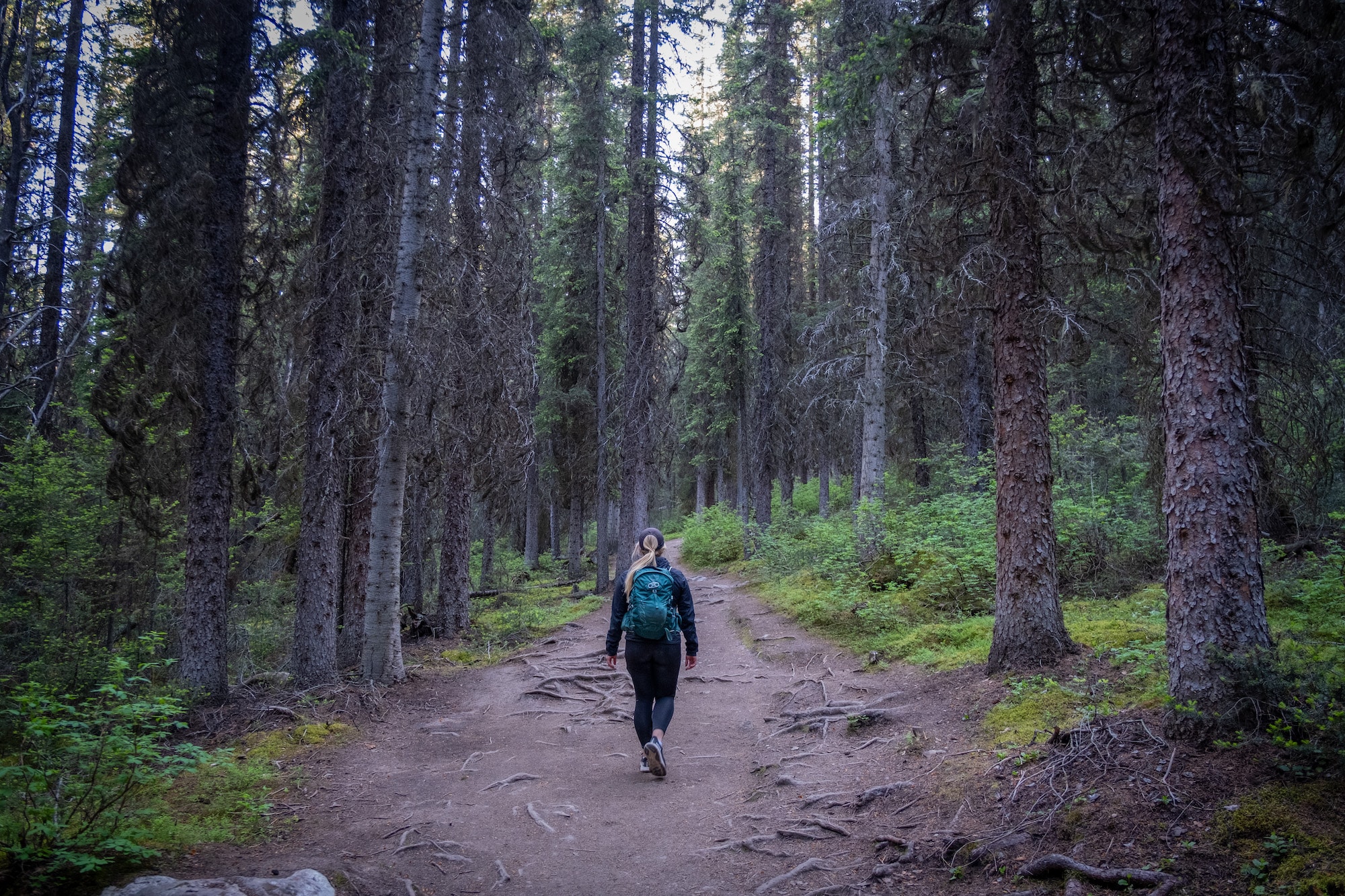 Trail to Consolation Lakes