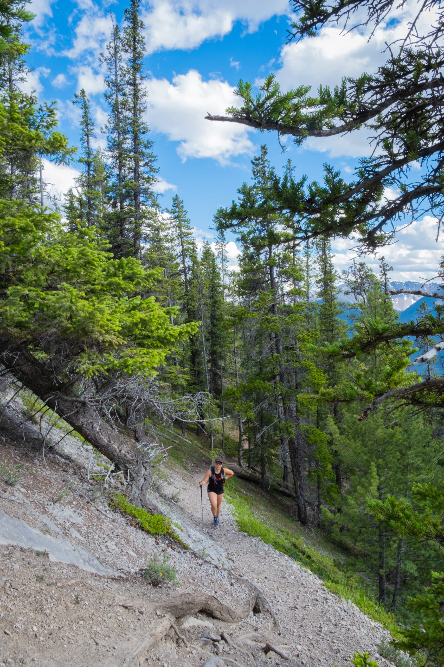 Cory Pass Loop
