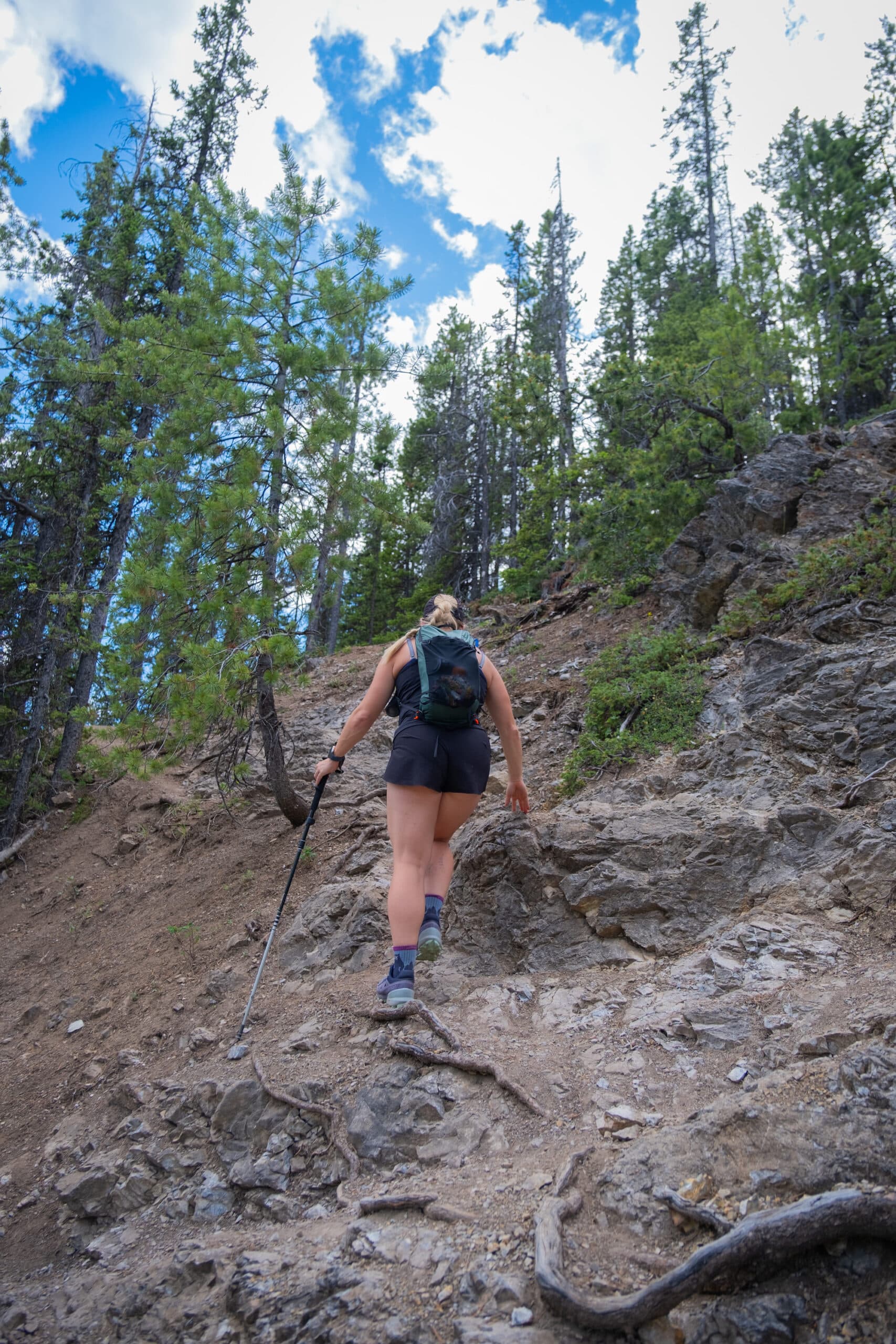 Cory Pass Edith Pass Loop