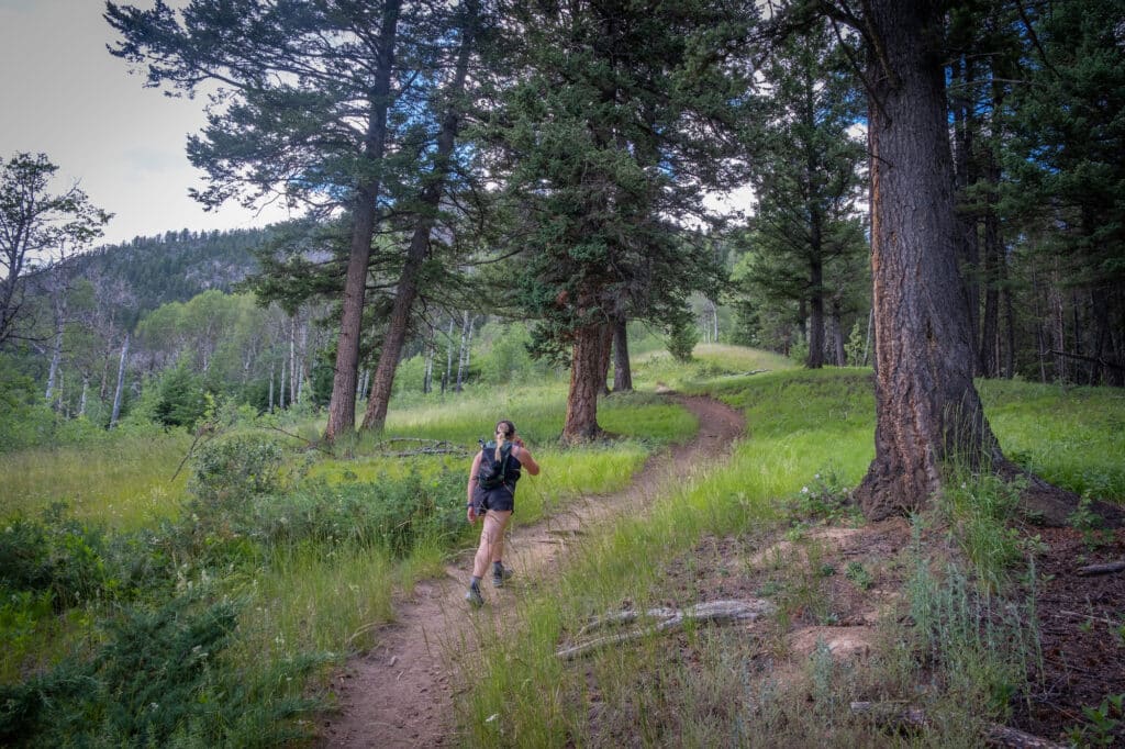 Hiking the Cory Pass Loop: What You Need to Know