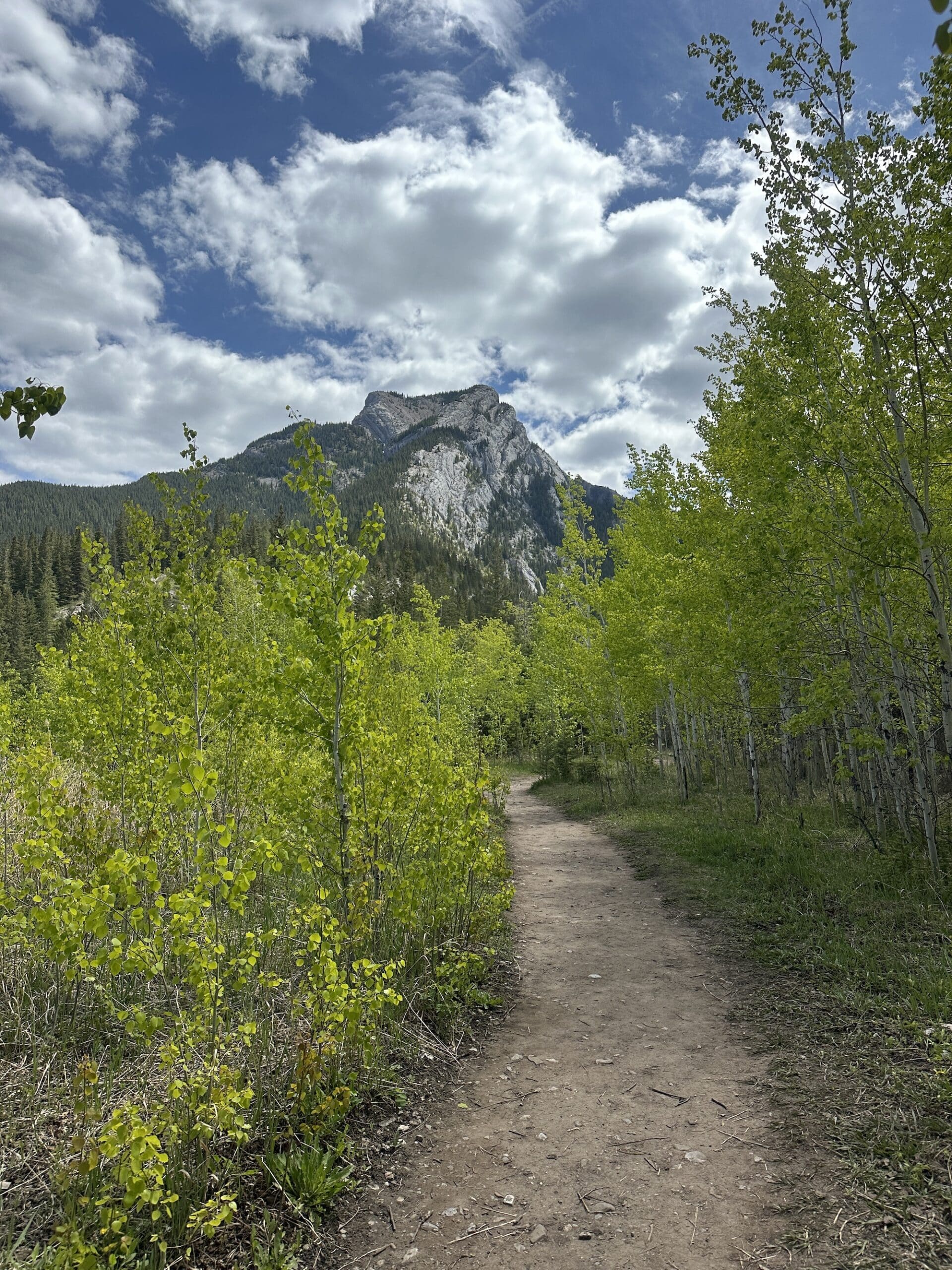 heart mountain hike
