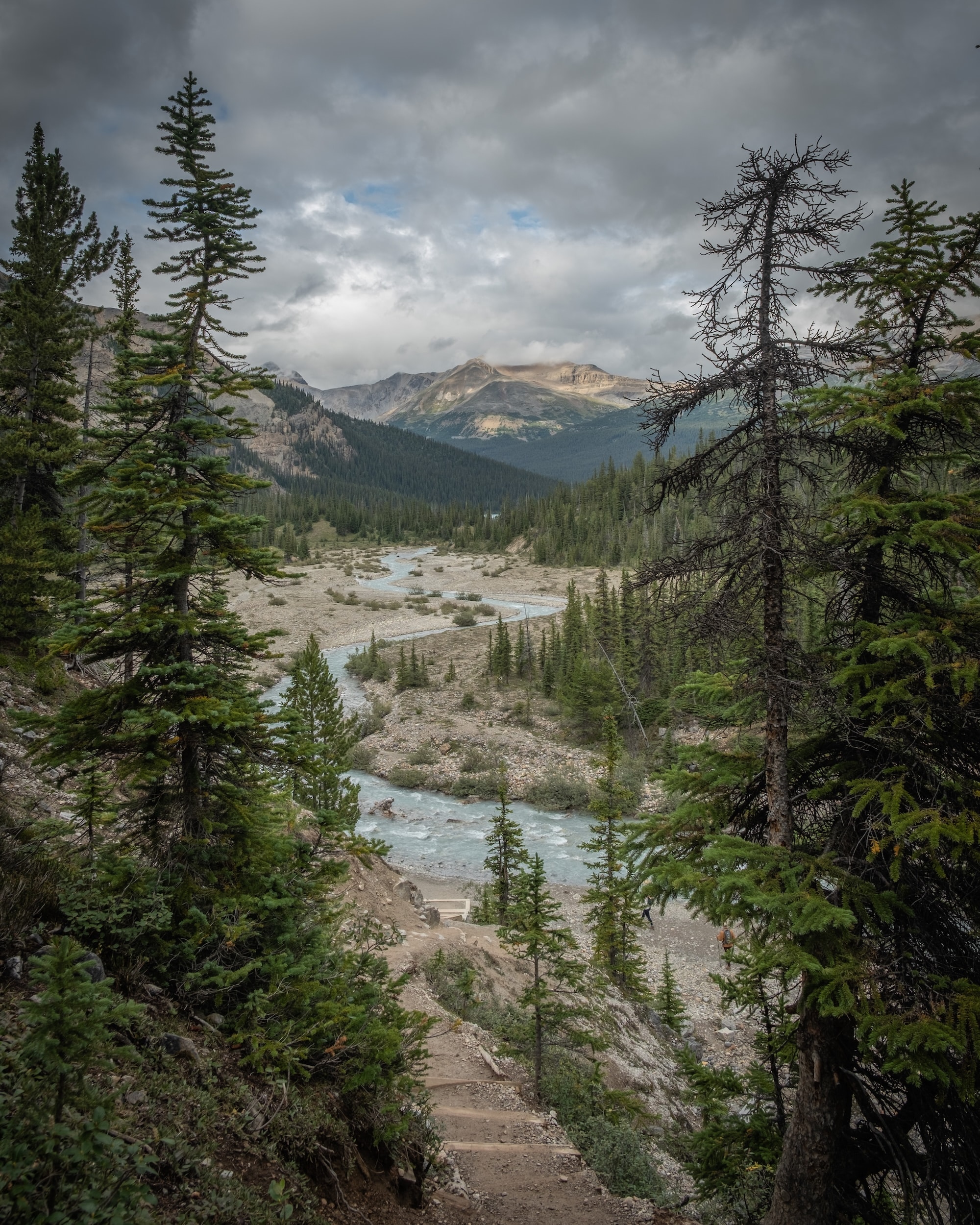 looking back at bow lake from bow glacier falls trail