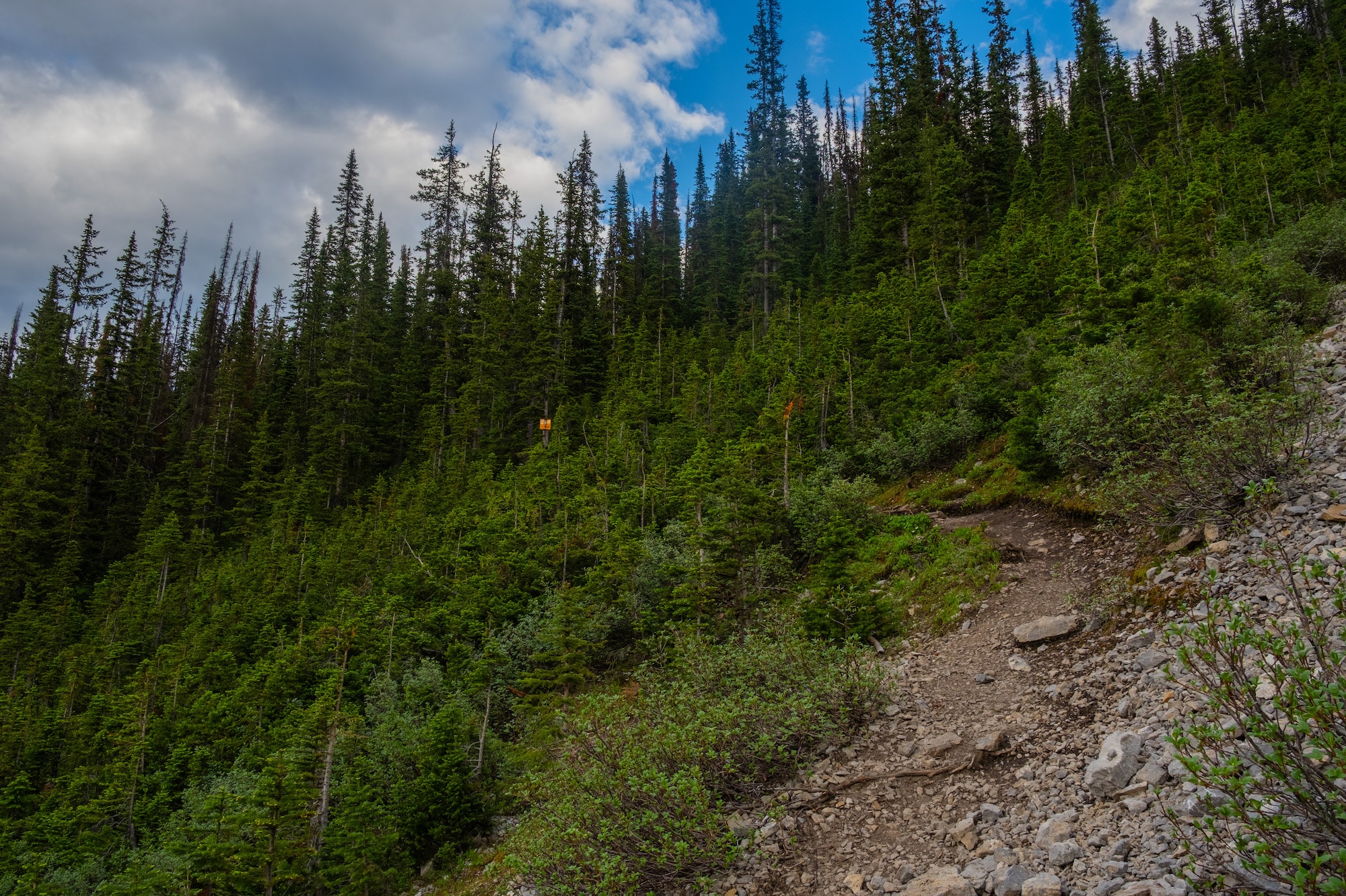 Cory Pass Edith Pass Loop