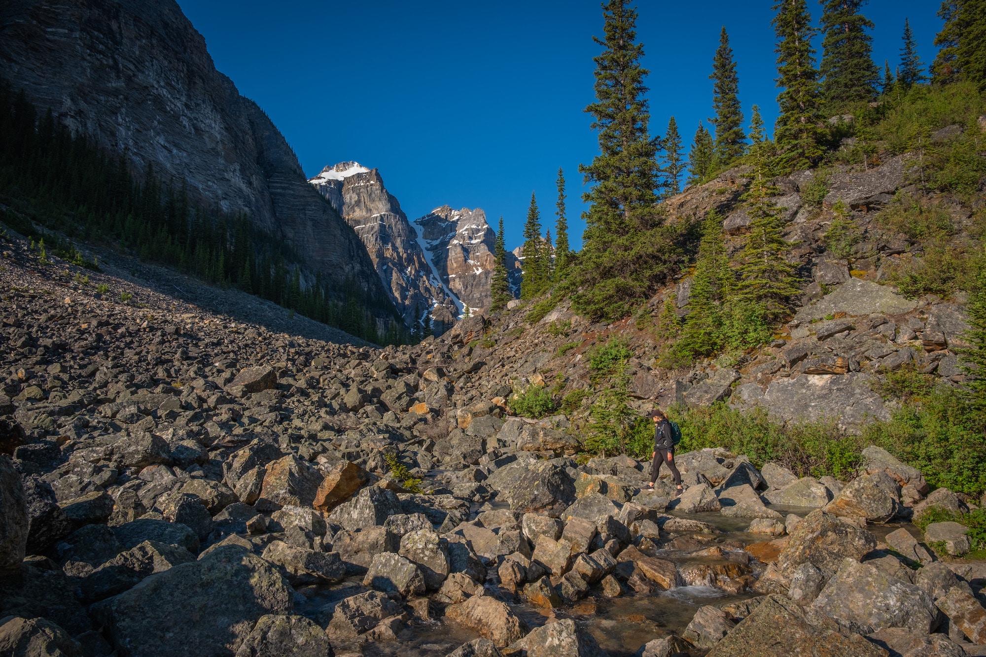 Trail to Consolation Lakes