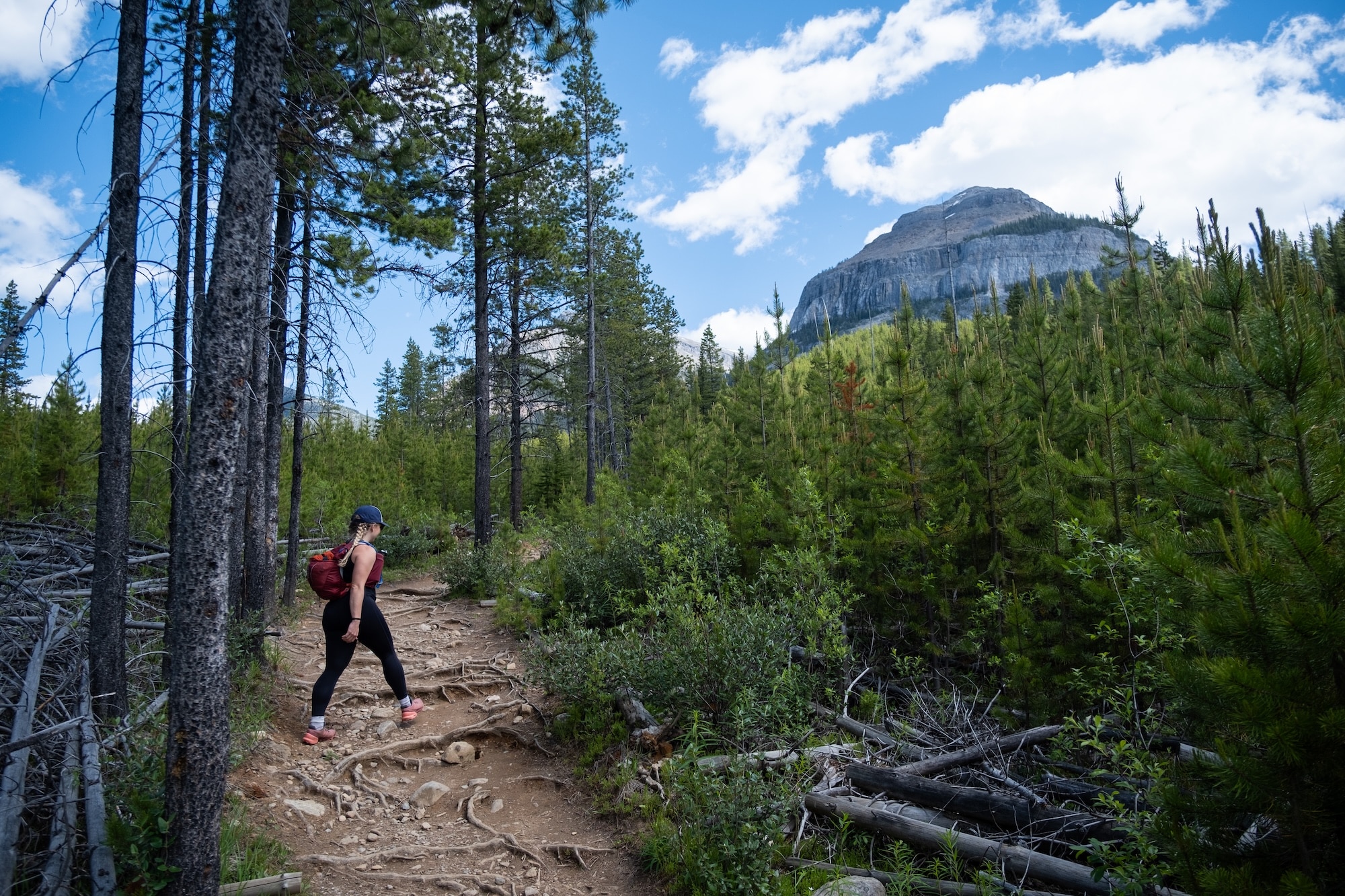Stanley Glacier Hike in Kootenay National Park