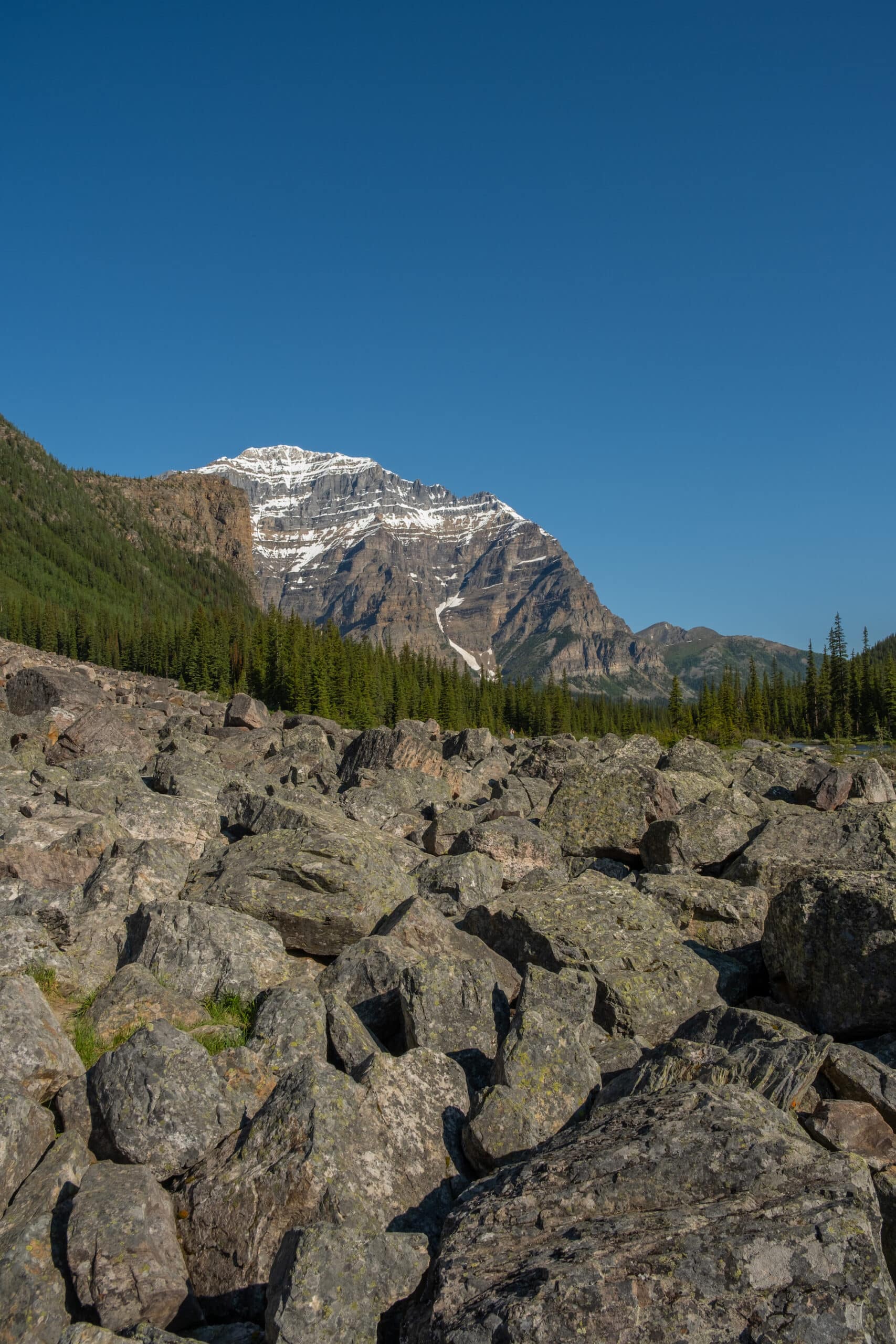 Trail to Consolation Lakes