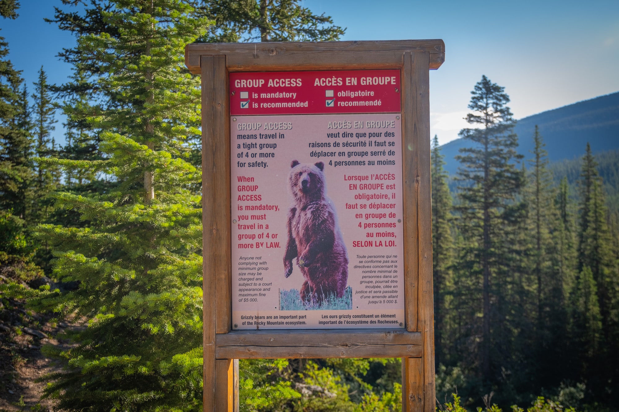 Trail to Consolation Lakes